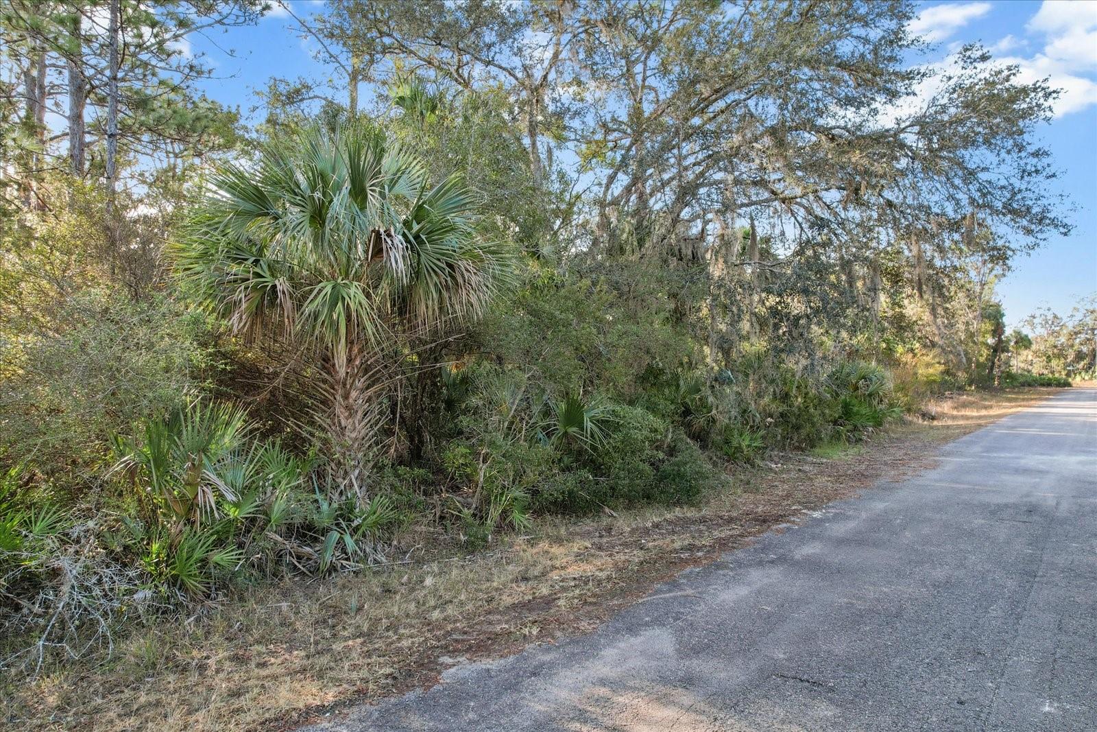 12196 W BLUEBELL DR, CRYSTAL RIVER, FL, 34428