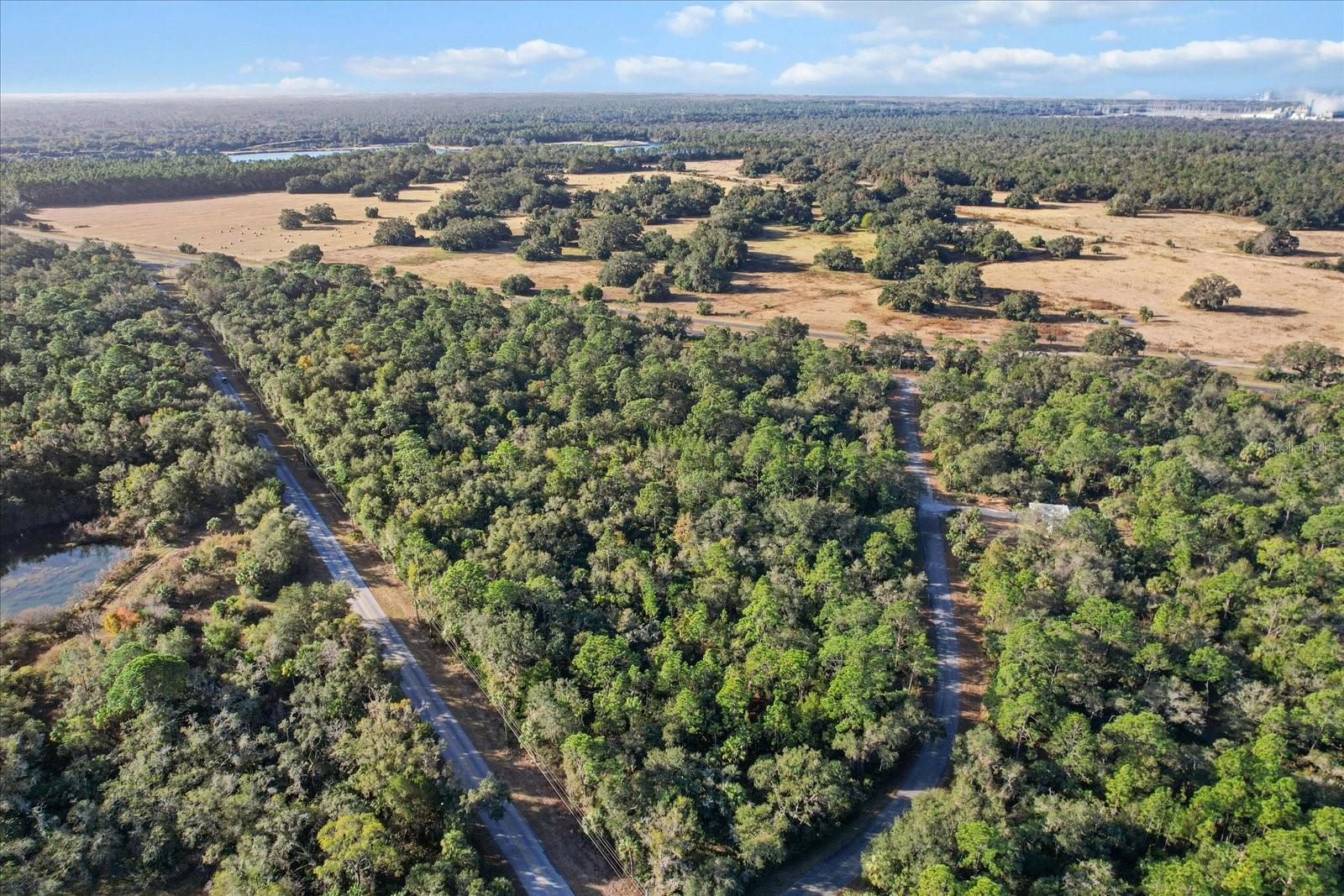 12196 W BLUEBELL DR, CRYSTAL RIVER, FL, 34428