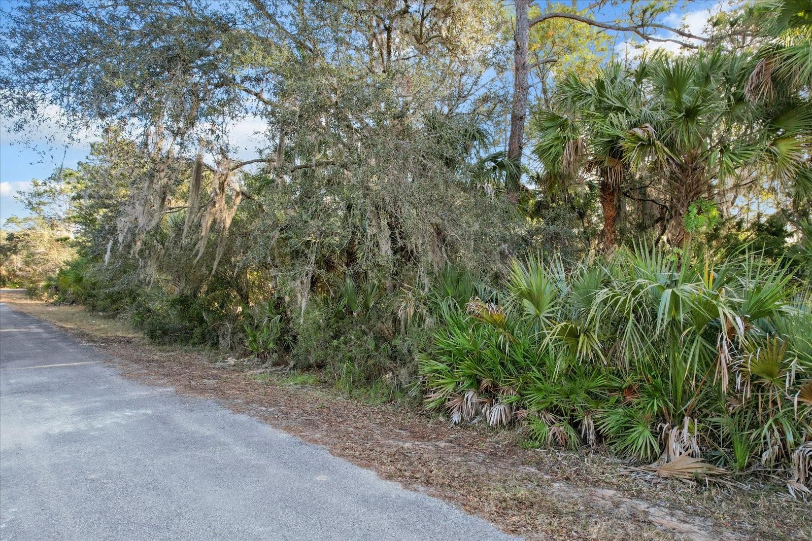 12196 W BLUEBELL DR, CRYSTAL RIVER, FL, 34428