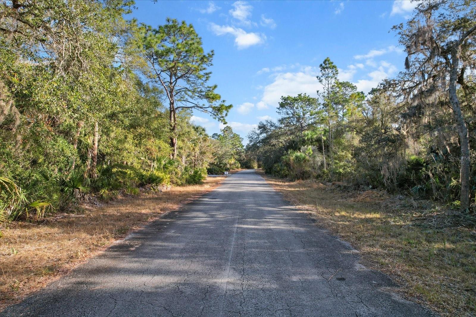 12196 W BLUEBELL DR, CRYSTAL RIVER, FL, 34428