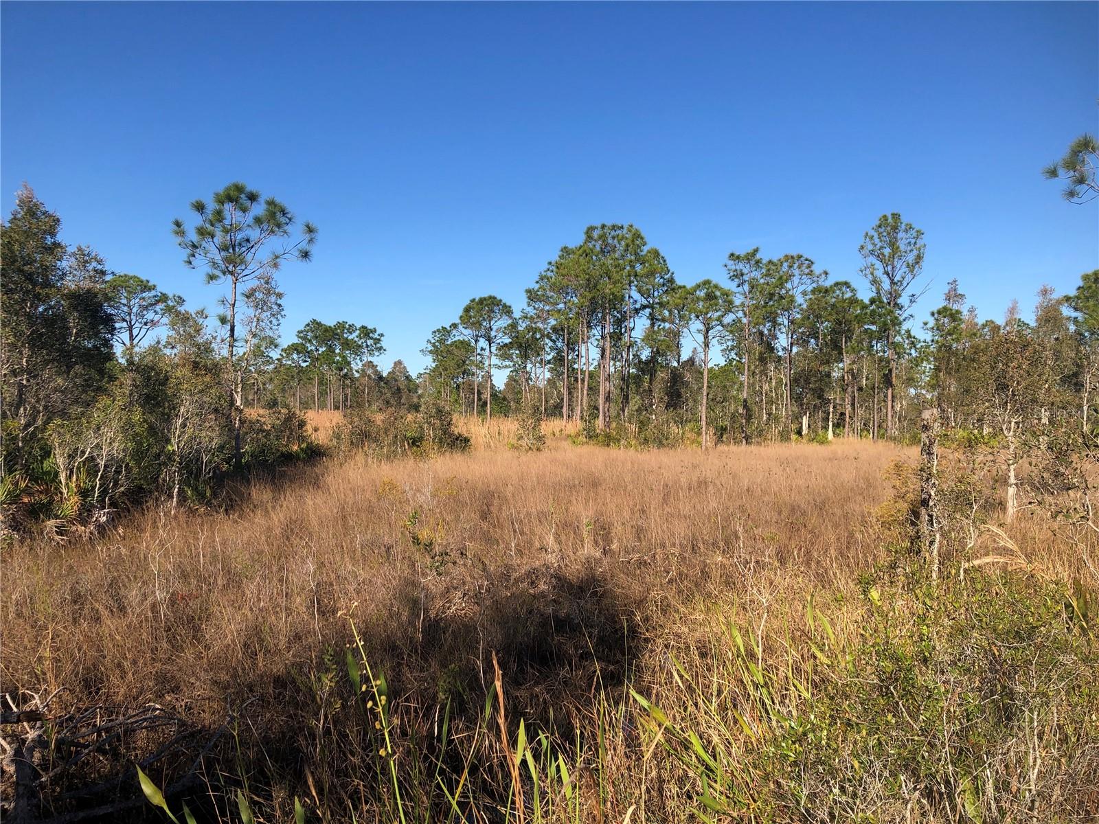 32340 OIL WELL RD, PUNTA GORDA, FL, 33955