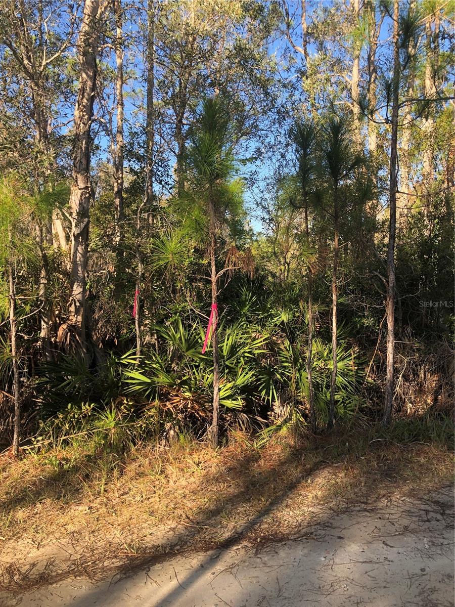 32340 OIL WELL RD, PUNTA GORDA, FL, 33955