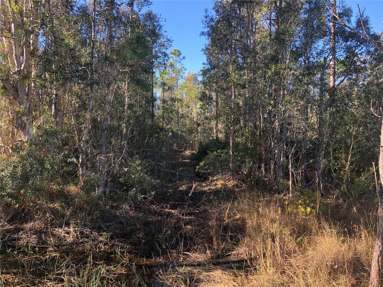 32340 OIL WELL RD, PUNTA GORDA, FL, 33955