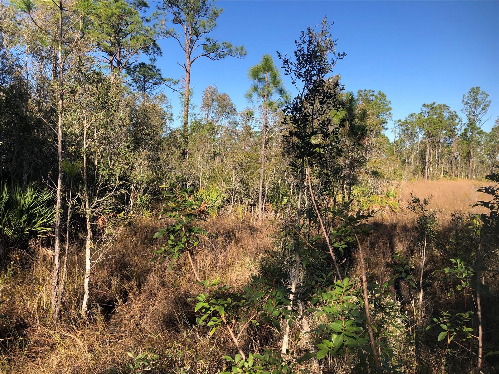 32340 OIL WELL RD, PUNTA GORDA, FL, 33955
