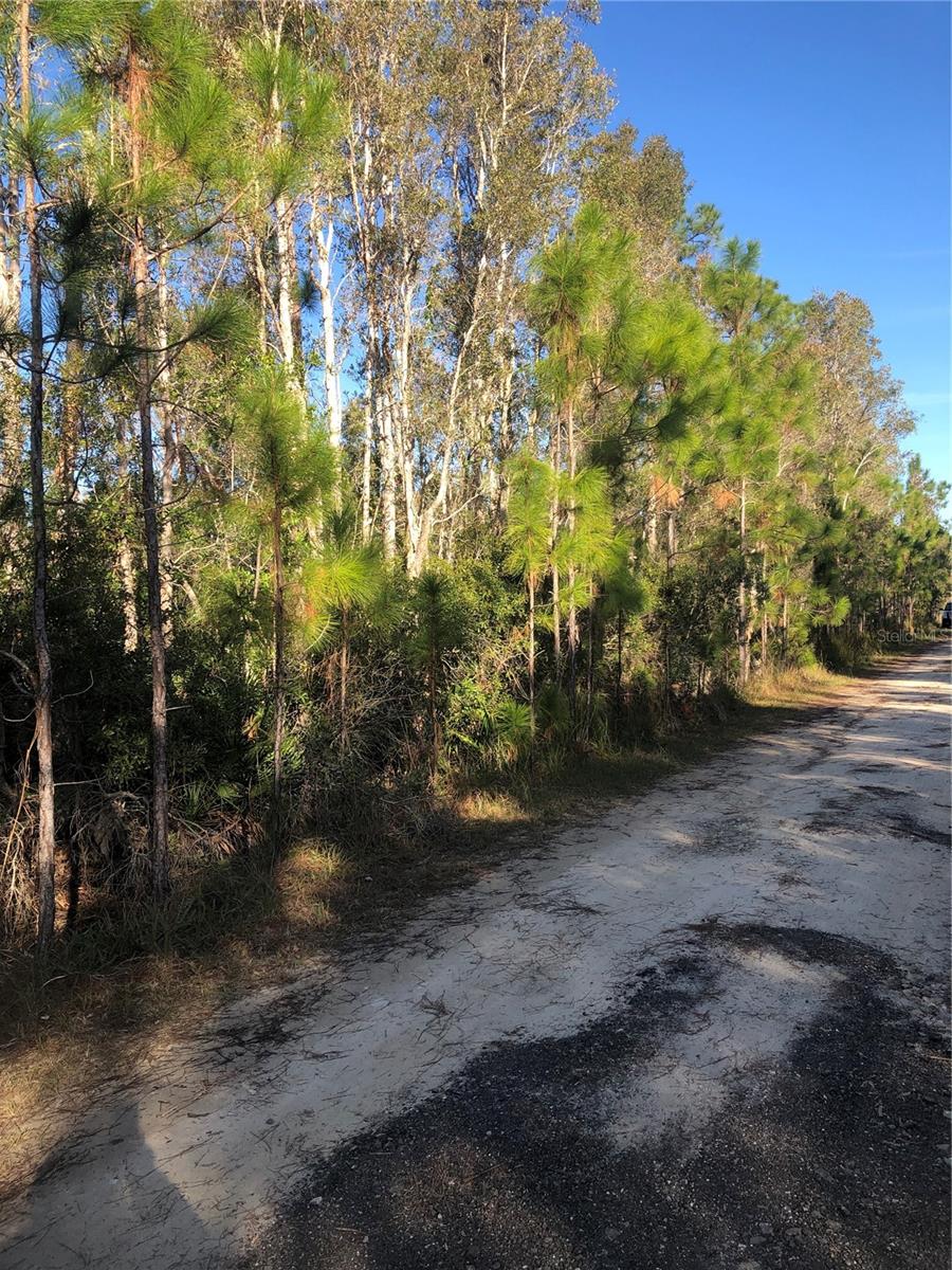 32340 OIL WELL RD, PUNTA GORDA, FL, 33955