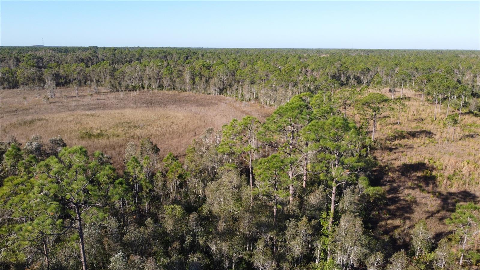 32340 OIL WELL RD, PUNTA GORDA, FL, 33955