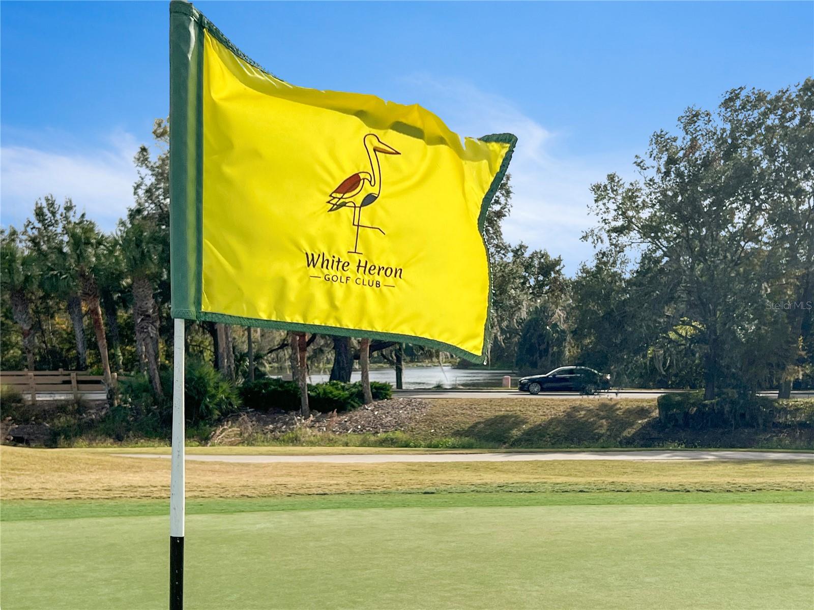 513 SAN SEBASTIAN CT, DAVENPORT, FL, 33837