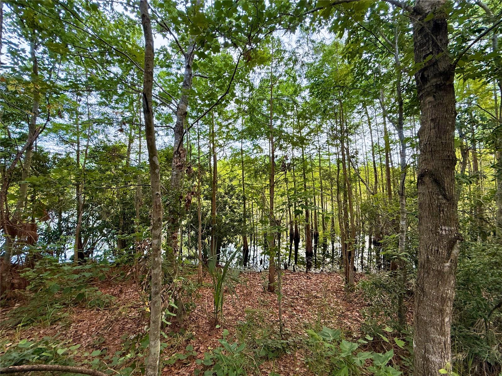 513 SAN SEBASTIAN CT, DAVENPORT, FL, 33837