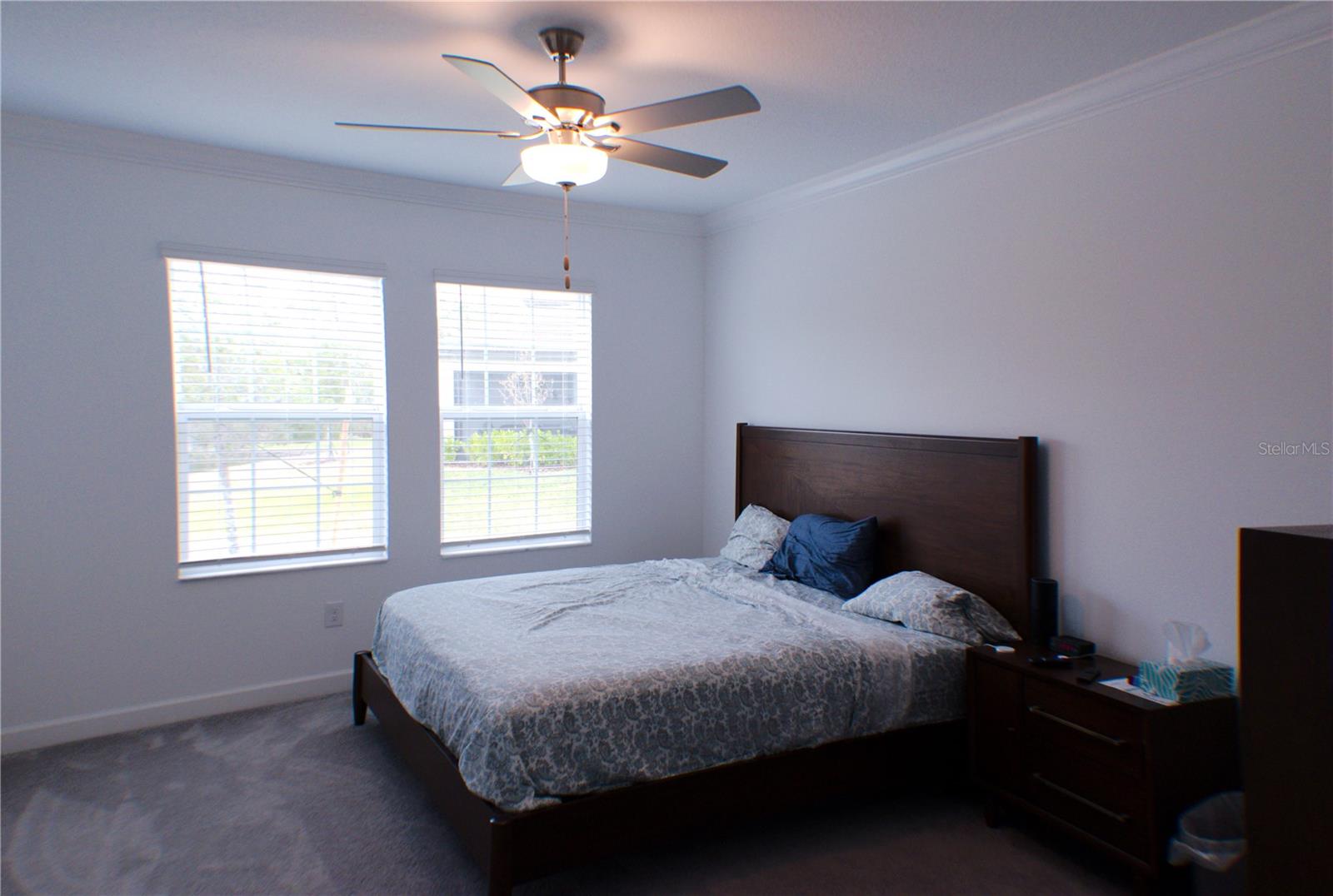 16851 FORGE SURF ST, LAND O LAKES, FL, 34638