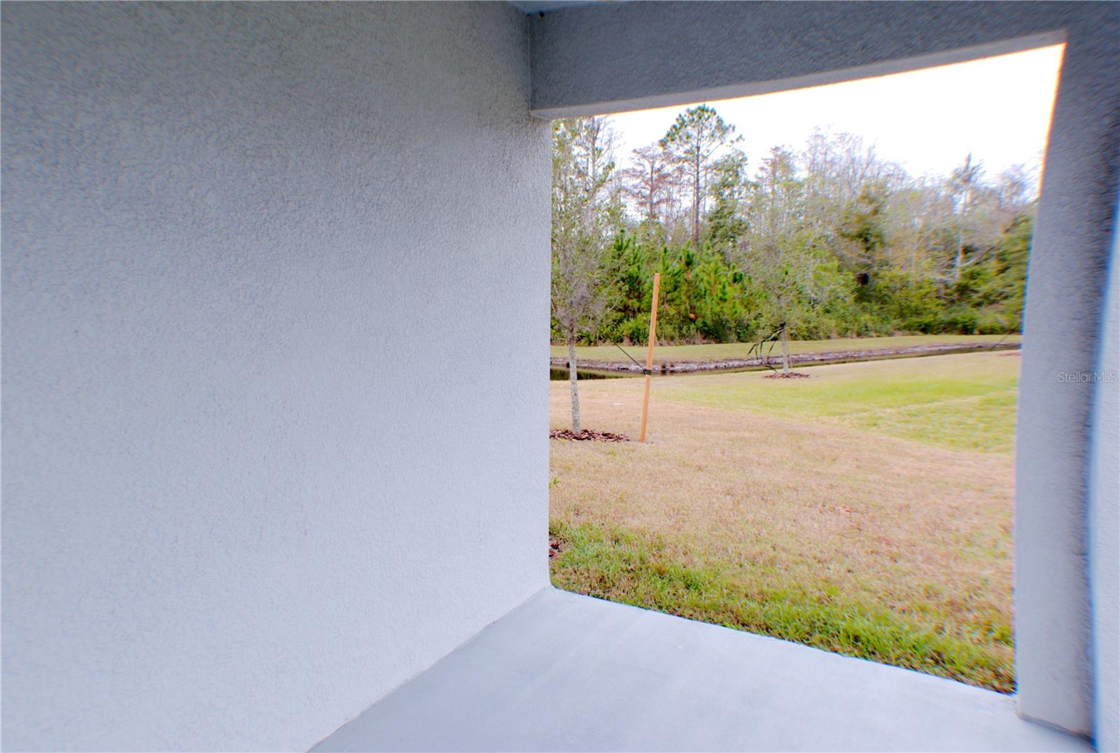 16851 FORGE SURF ST, LAND O LAKES, FL, 34638