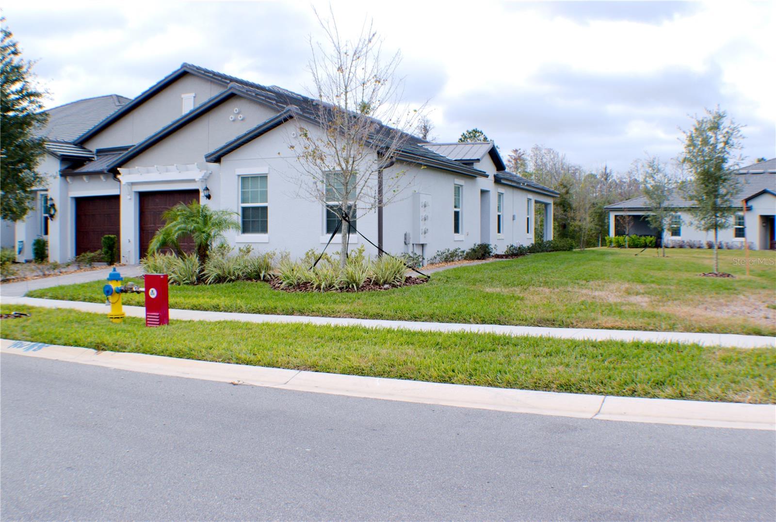 16851 FORGE SURF ST, LAND O LAKES, FL, 34638