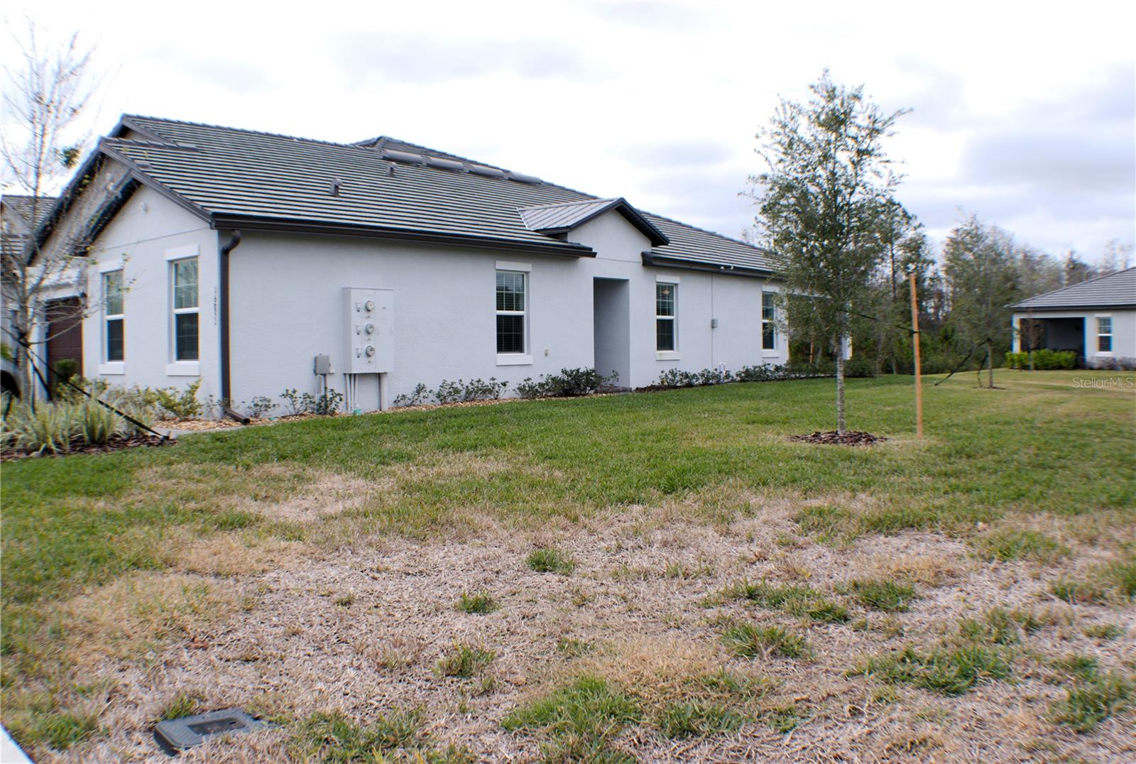 16851 FORGE SURF ST, LAND O LAKES, FL, 34638