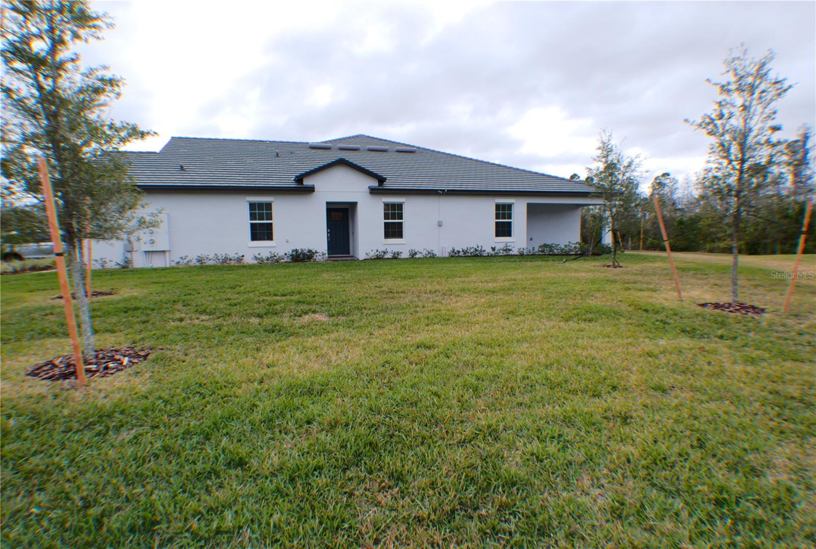 16851 FORGE SURF ST, LAND O LAKES, FL, 34638