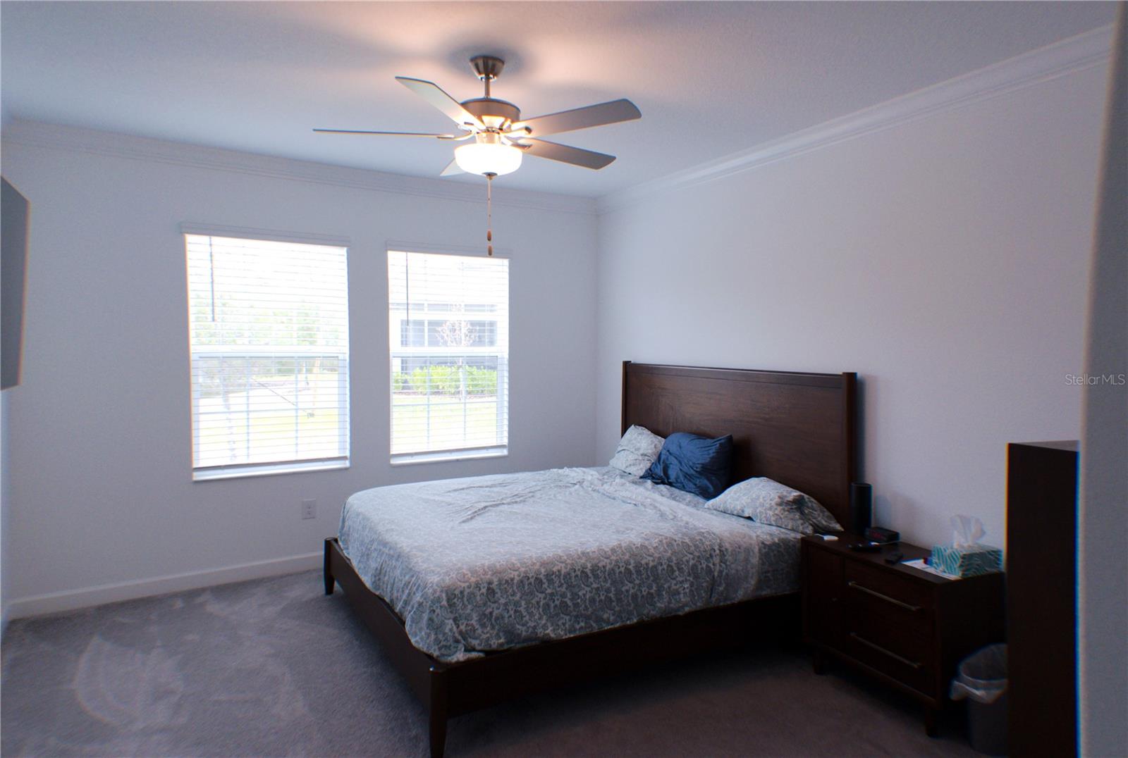 16851 FORGE SURF ST, LAND O LAKES, FL, 34638