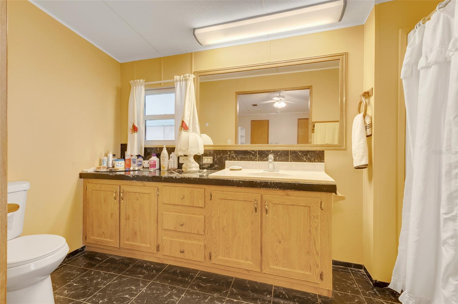 1737 STACEY DR, MOUNT DORA, FL, 32757