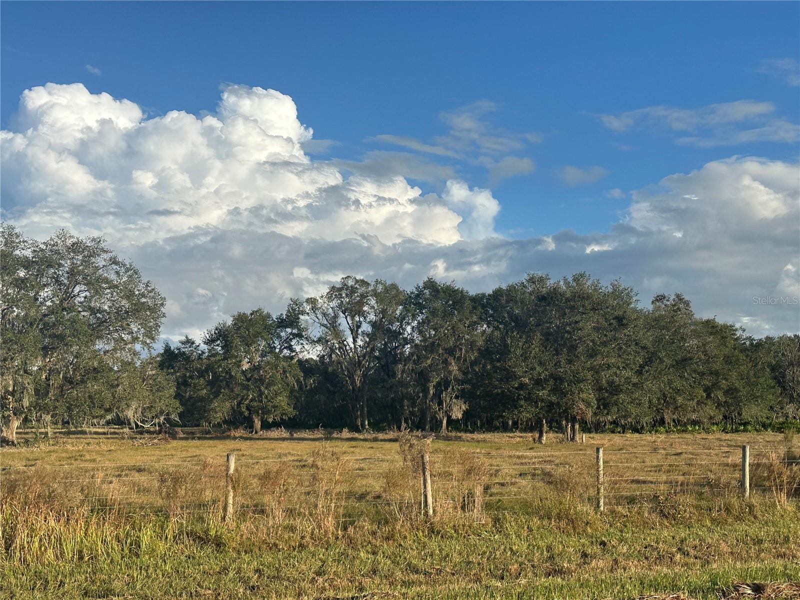 REVELLWOOD ESTATES, WAUCHULA, FL, 33873