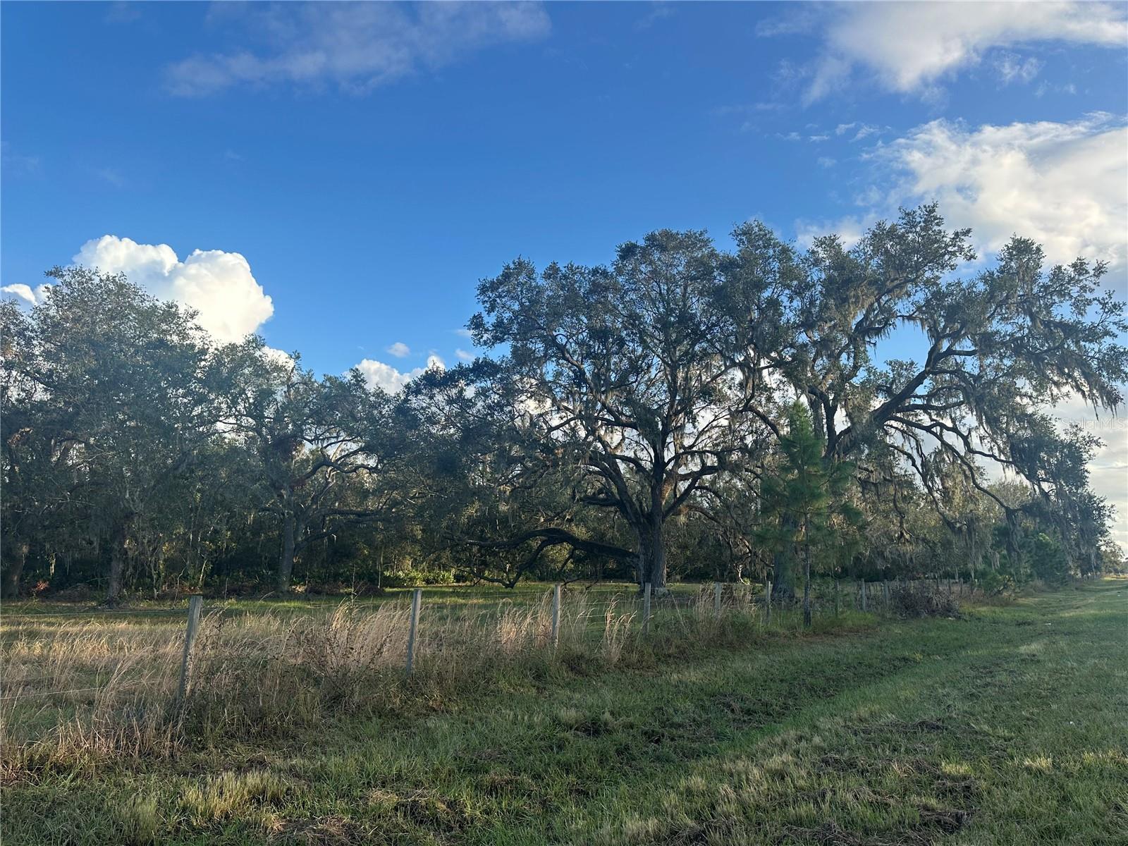 REVELLWOOD ESTATES, WAUCHULA, FL, 33873