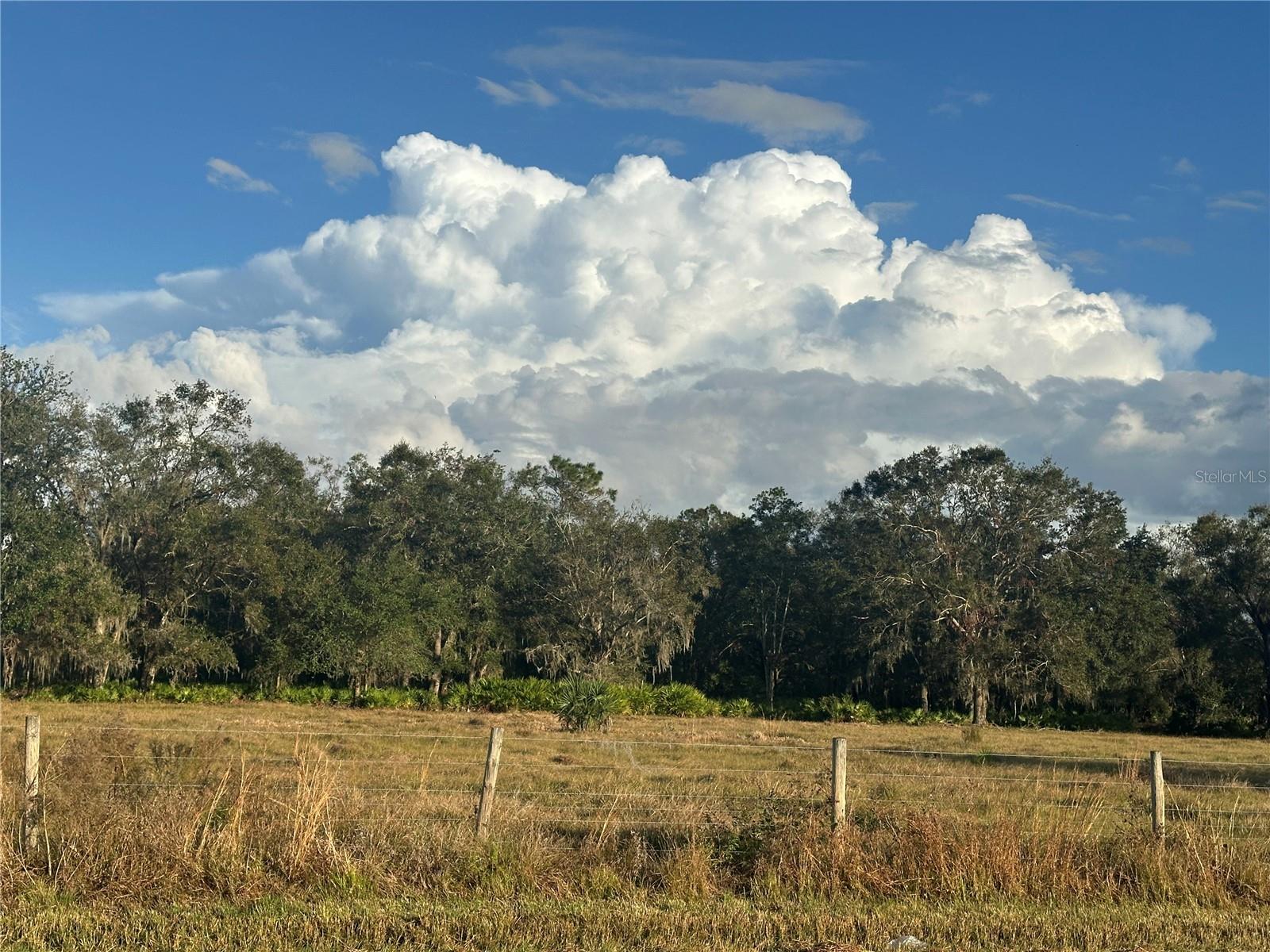 REVELLWOOD ESTATES, WAUCHULA, FL, 33873