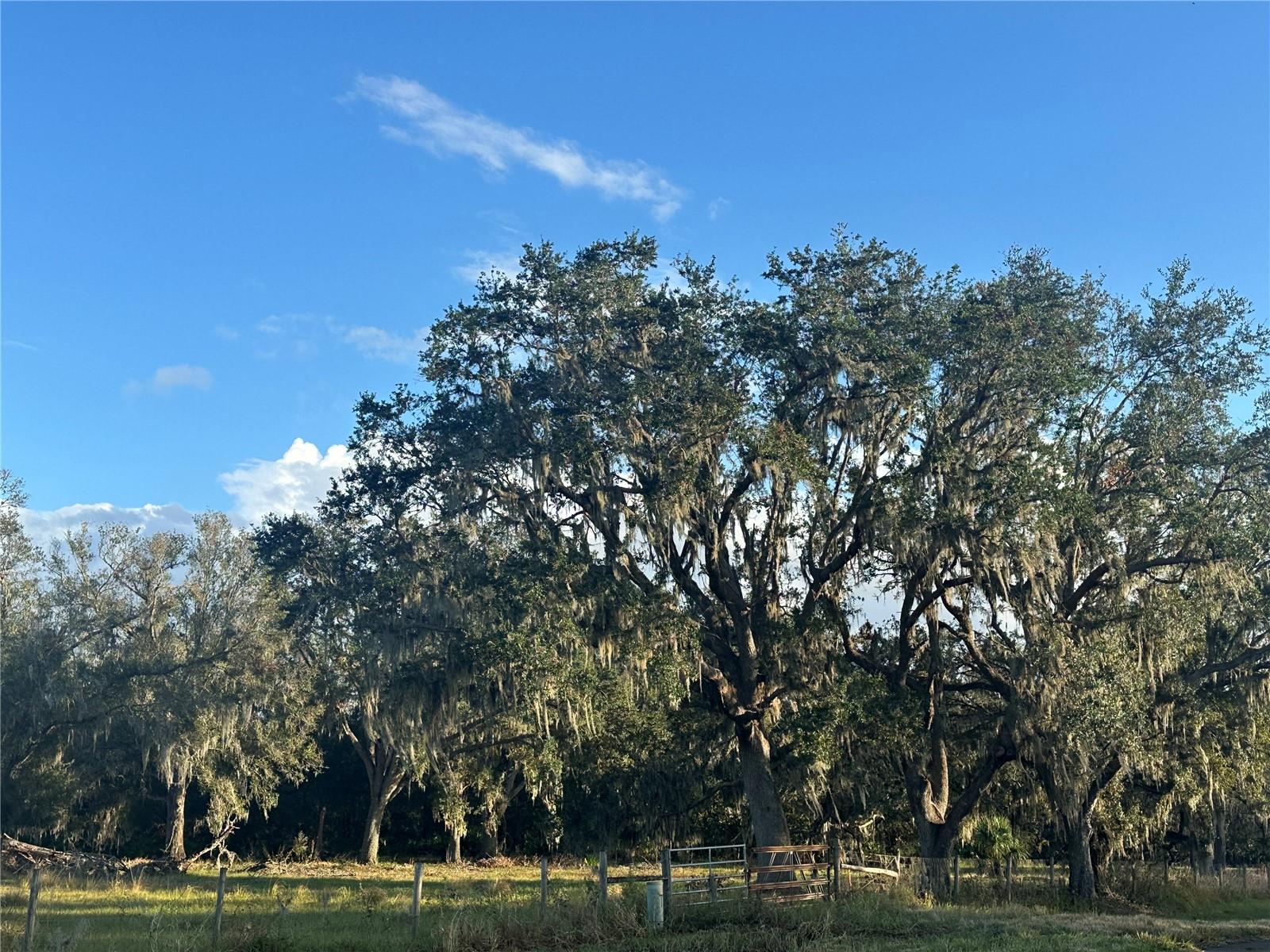 REVELLWOOD ESTATES, WAUCHULA, FL, 33873