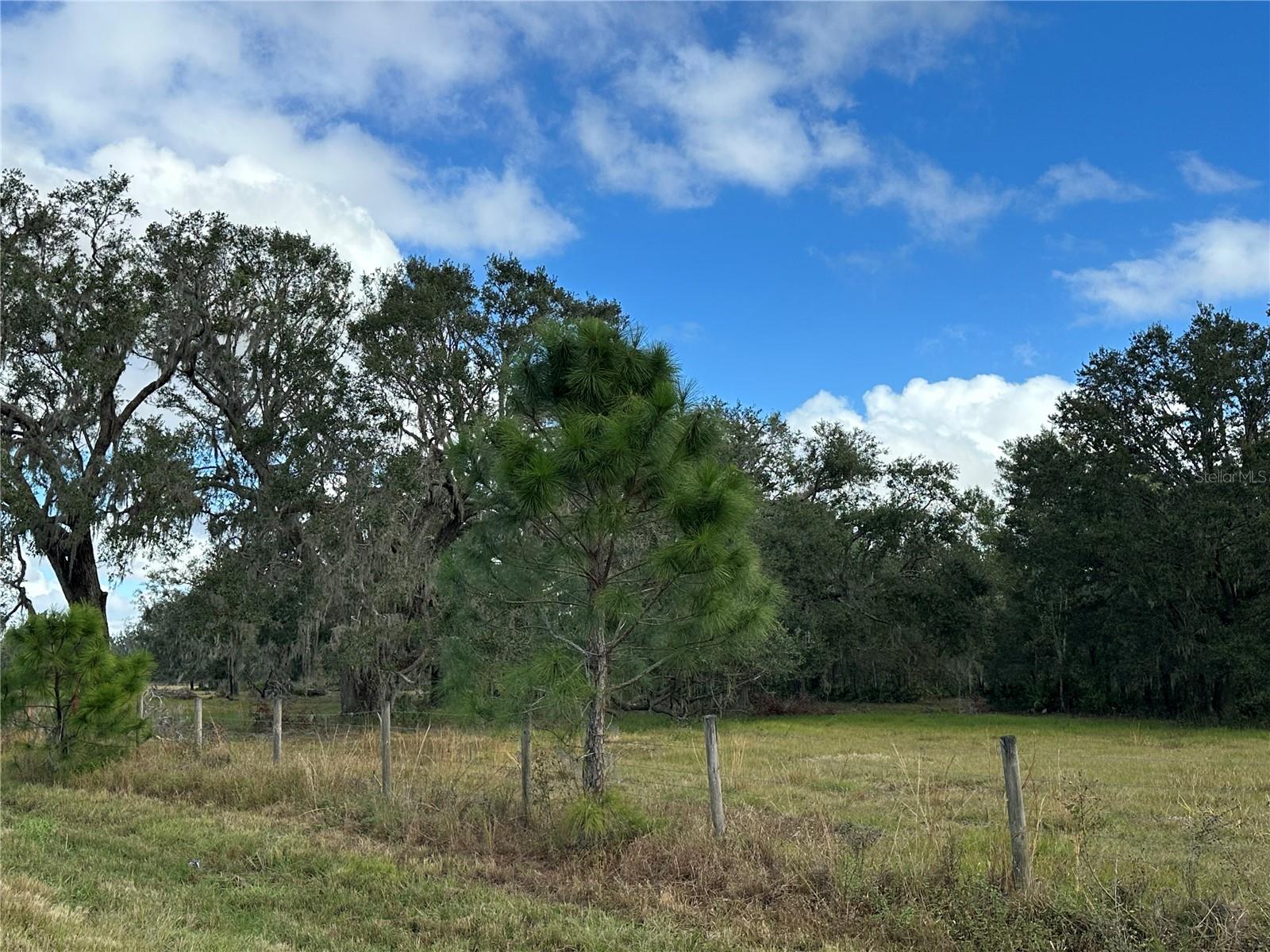 REVELLWOOD ESTATES, WAUCHULA, FL, 33873