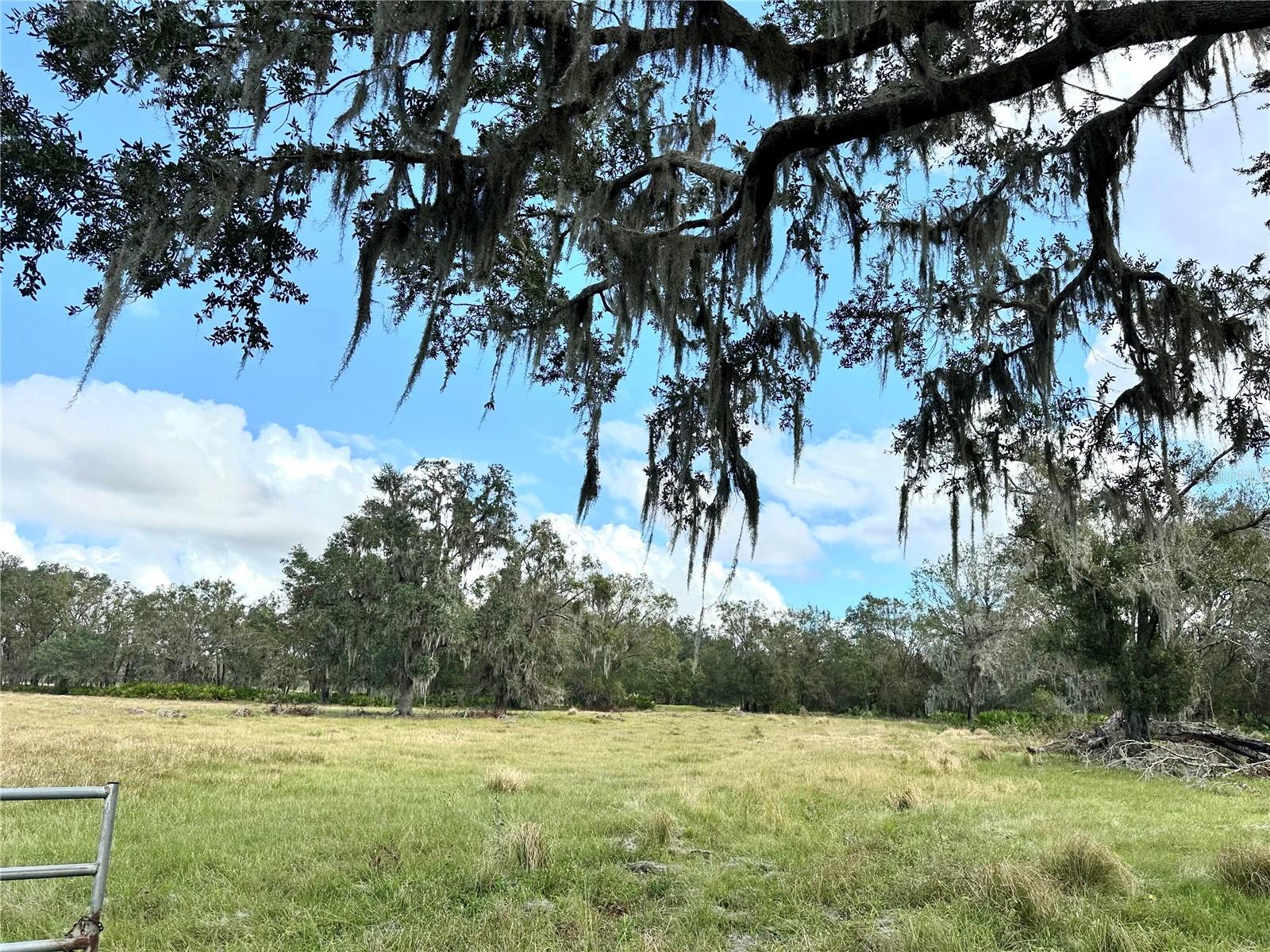 REVELLWOOD ESTATES, WAUCHULA, FL, 33873