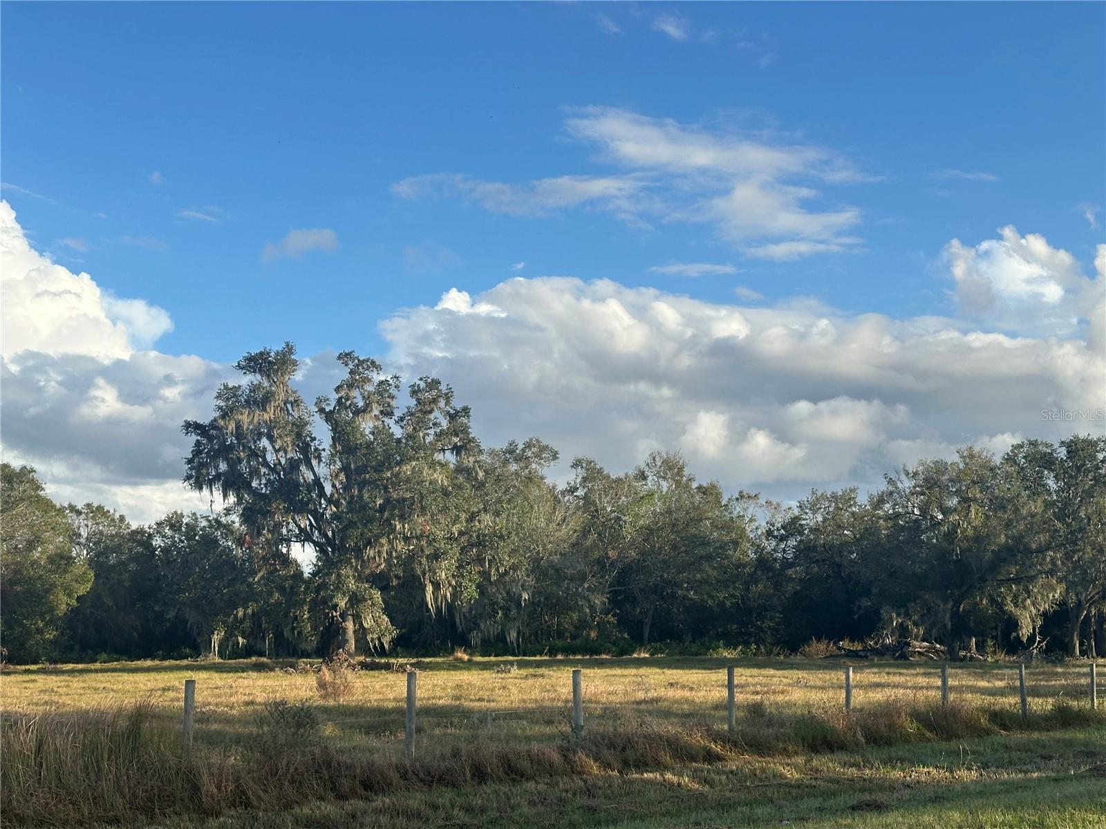 REVELLWOOD ESTATES, WAUCHULA, FL, 33873