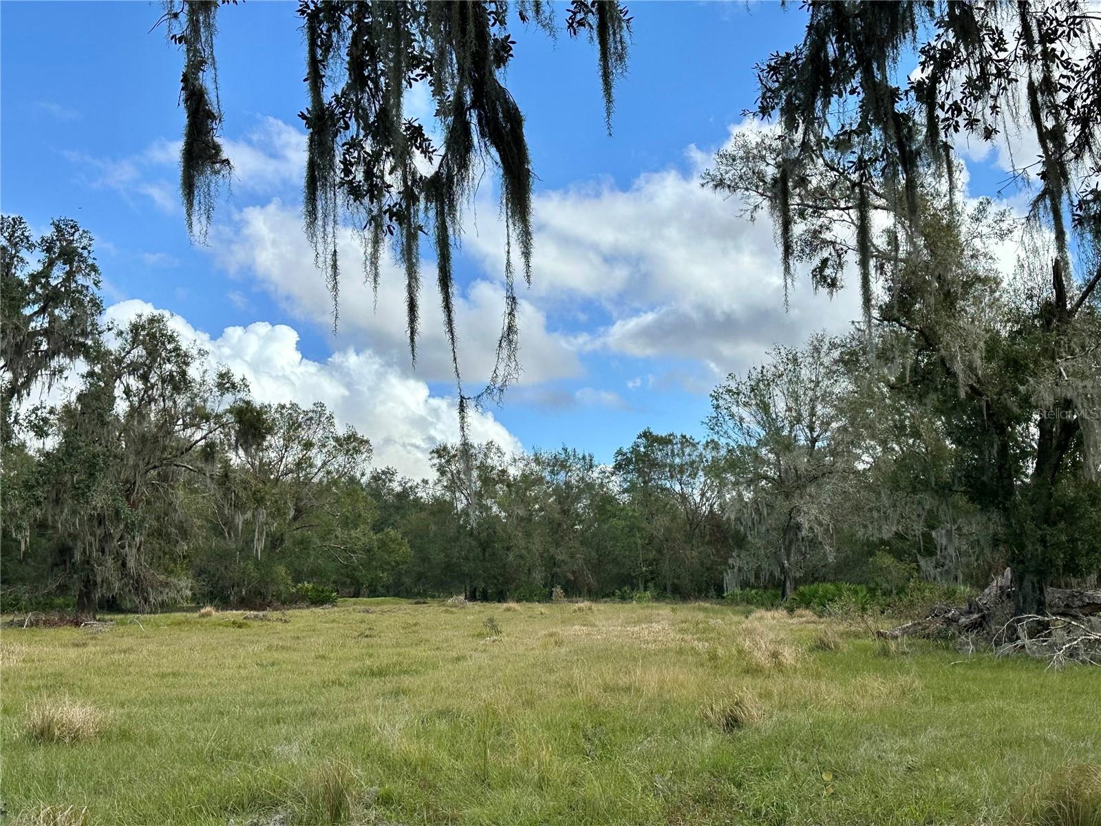 REVELLWOOD ESTATES, WAUCHULA, FL, 33873