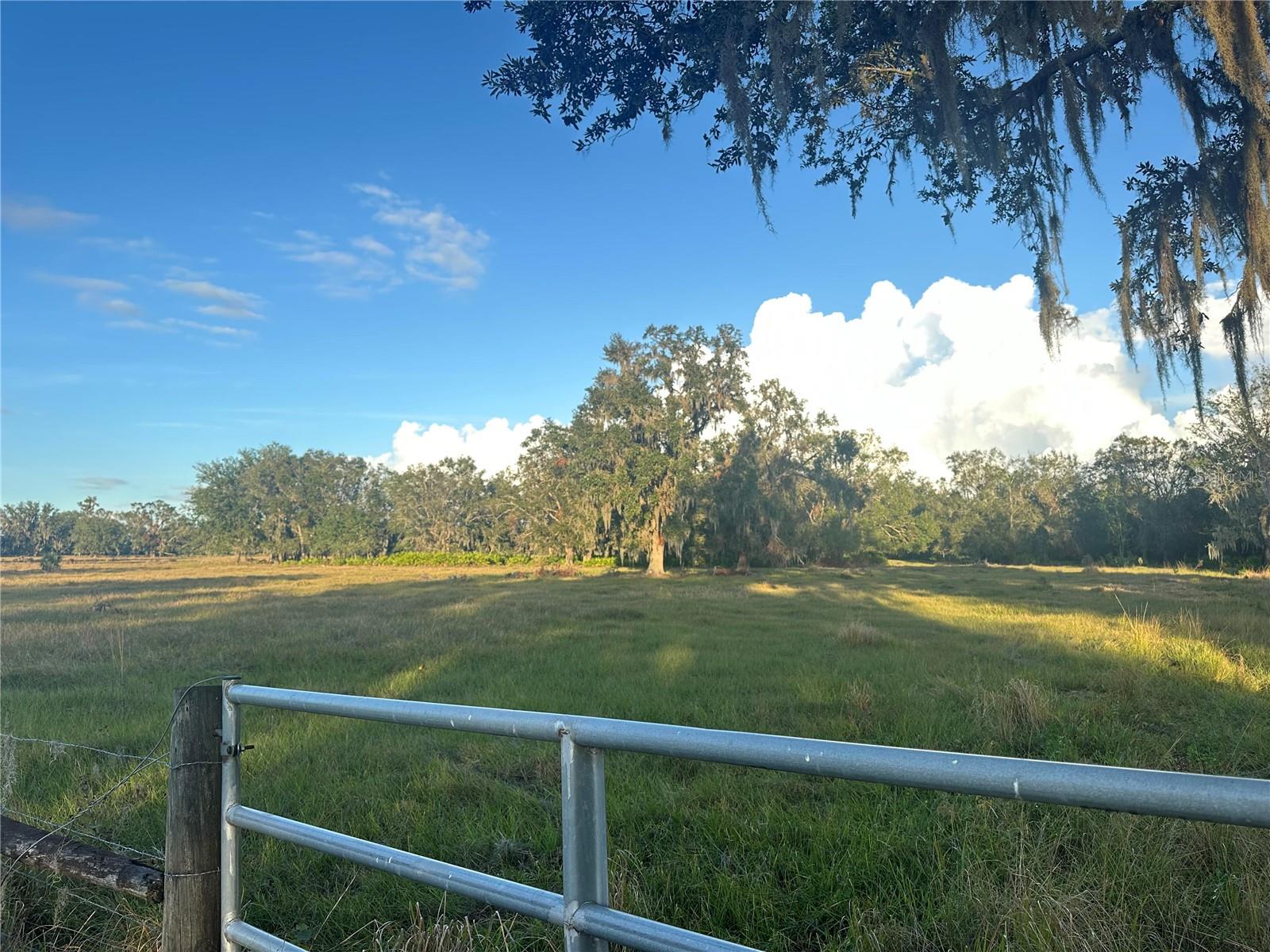 REVELLWOOD ESTATES, WAUCHULA, FL, 33873