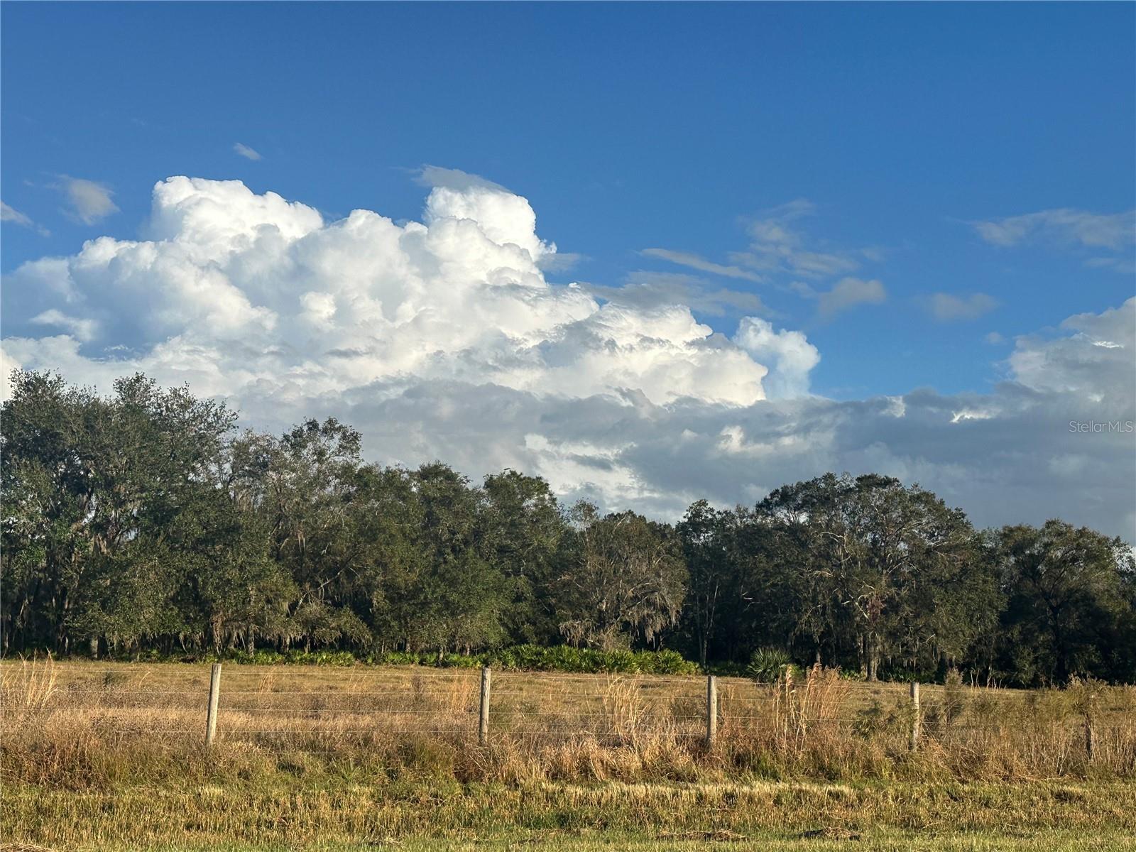 REVELLWOOD ESTATES, WAUCHULA, FL, 33873