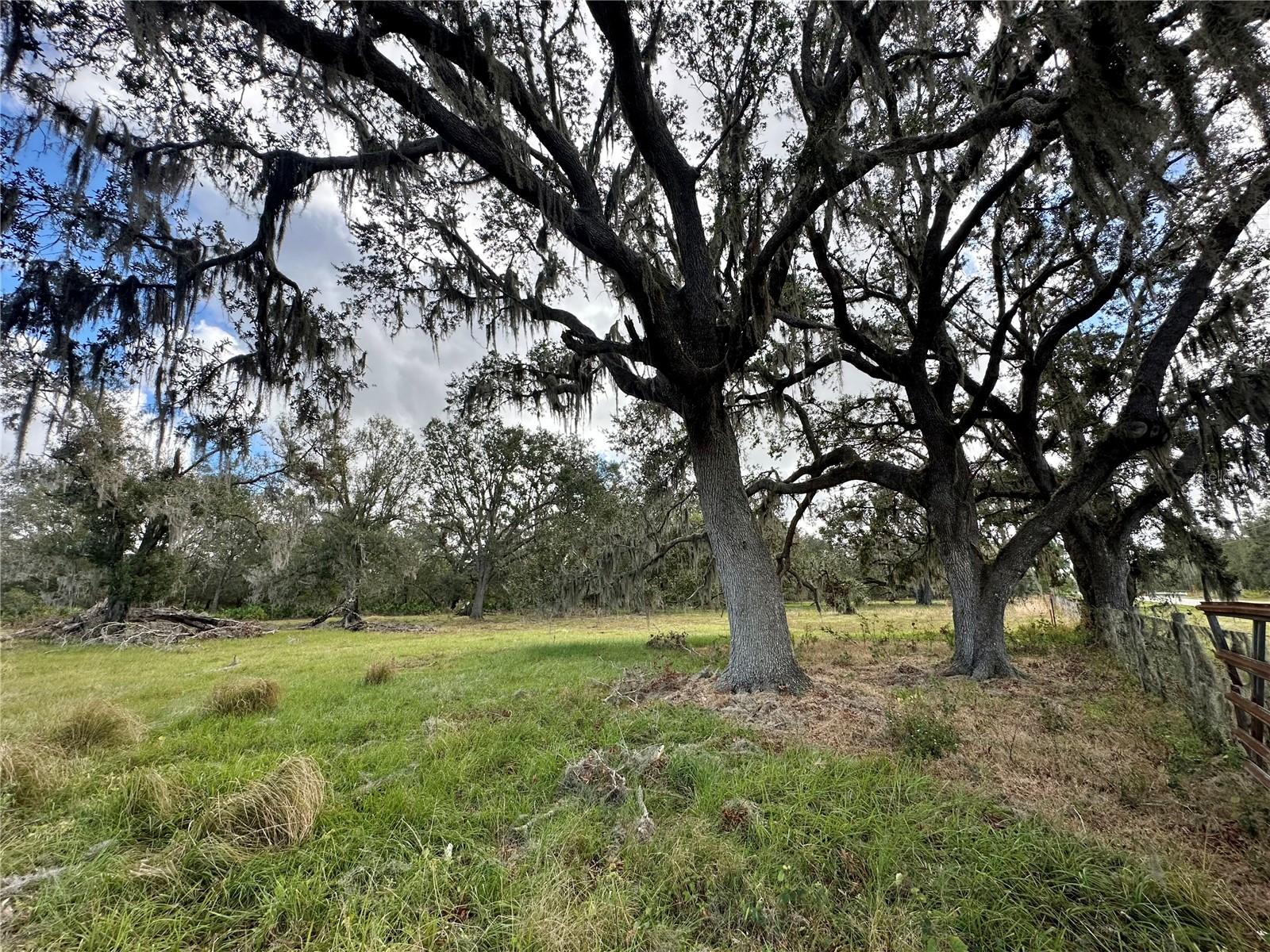 REVELLWOOD ESTATES, WAUCHULA, FL, 33873