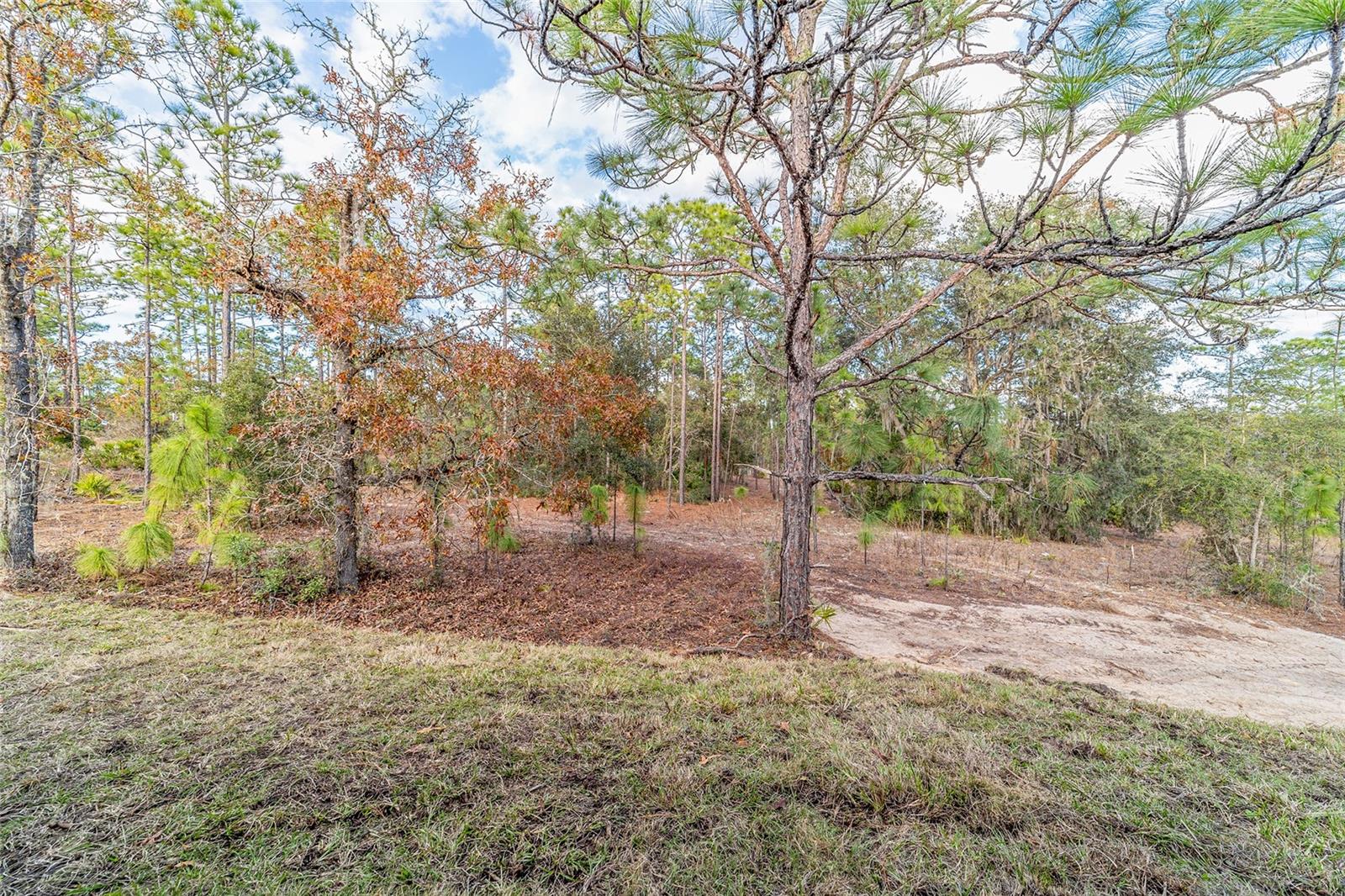 11457 N CONDOR DR, DUNNELLON, FL, 34433