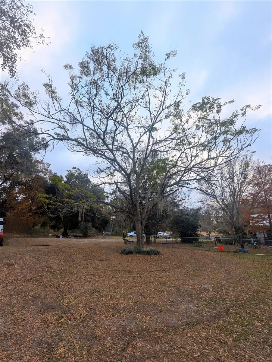 18695 NE 5TH TERRACE RD, CITRA, FL, 32113