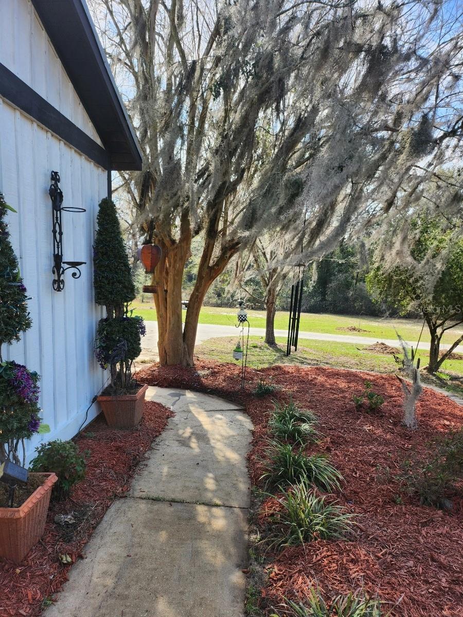 18695 NE 5TH TERRACE RD, CITRA, FL, 32113