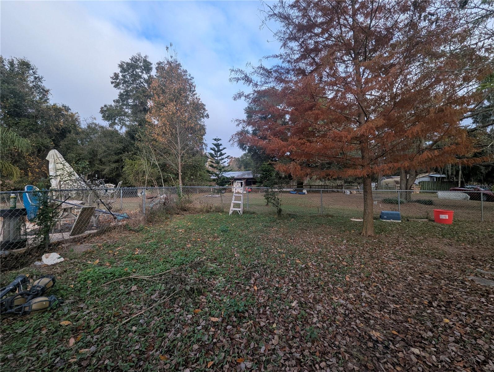 18695 NE 5TH TERRACE RD, CITRA, FL, 32113