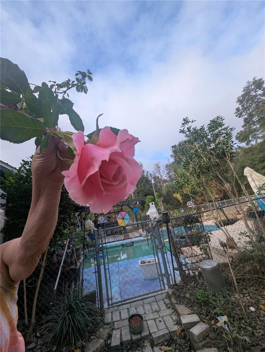 18695 NE 5TH TERRACE RD, CITRA, FL, 32113