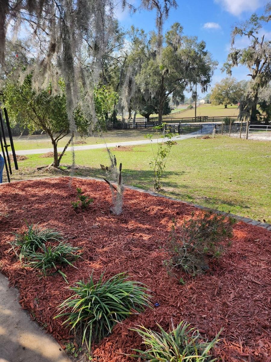 18695 NE 5TH TERRACE RD, CITRA, FL, 32113