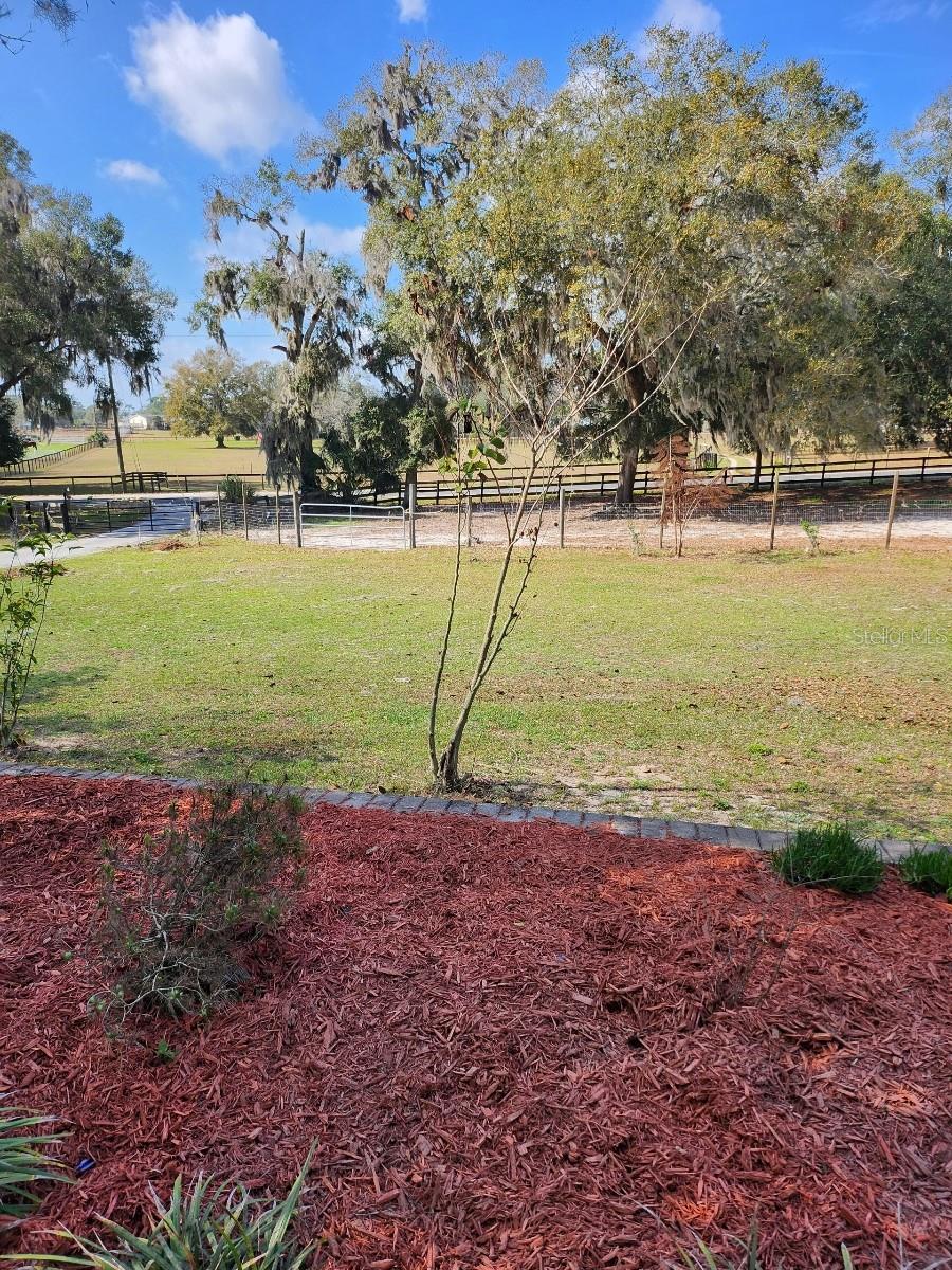 18695 NE 5TH TERRACE RD, CITRA, FL, 32113