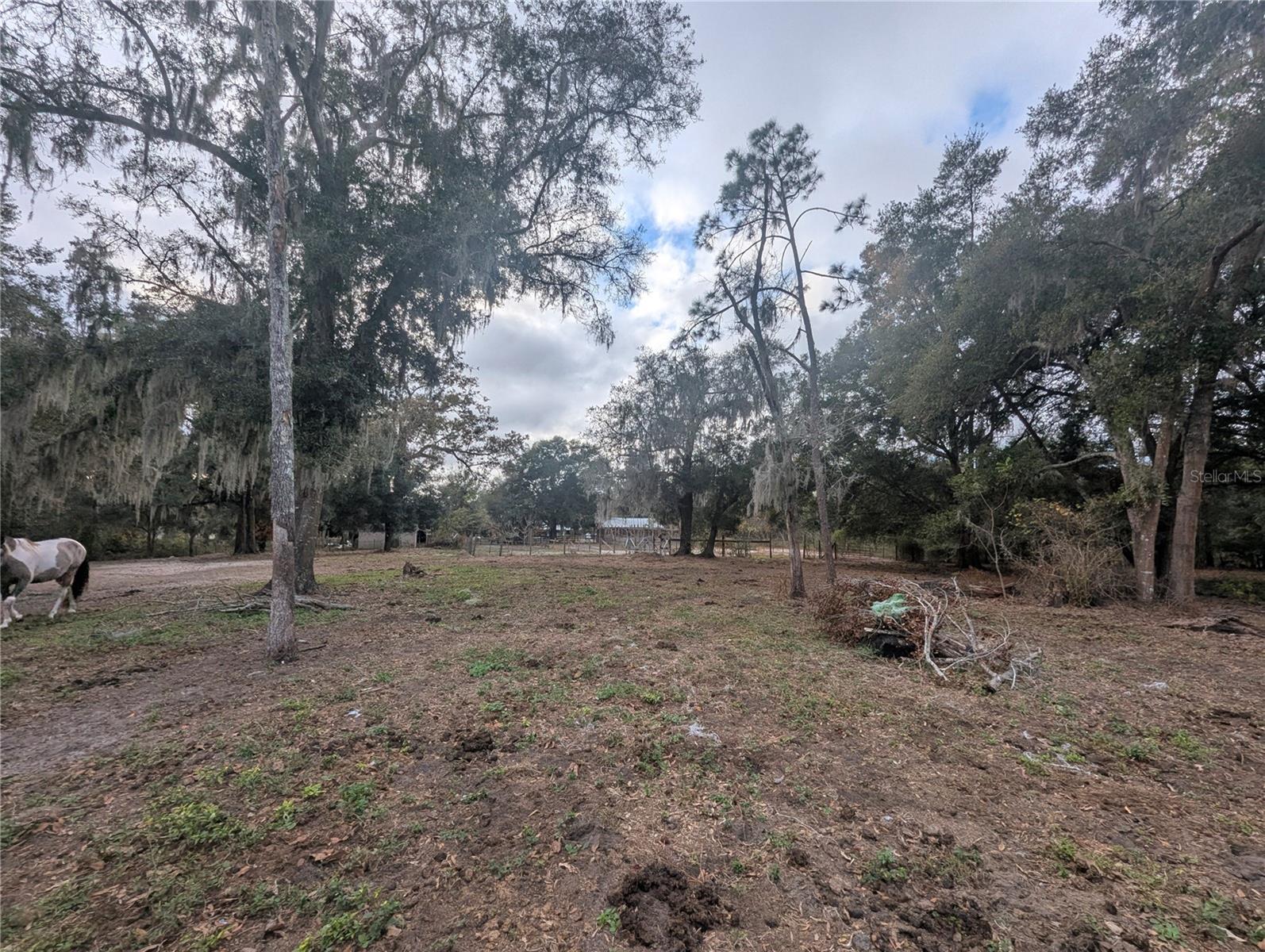 18695 NE 5TH TERRACE RD, CITRA, FL, 32113