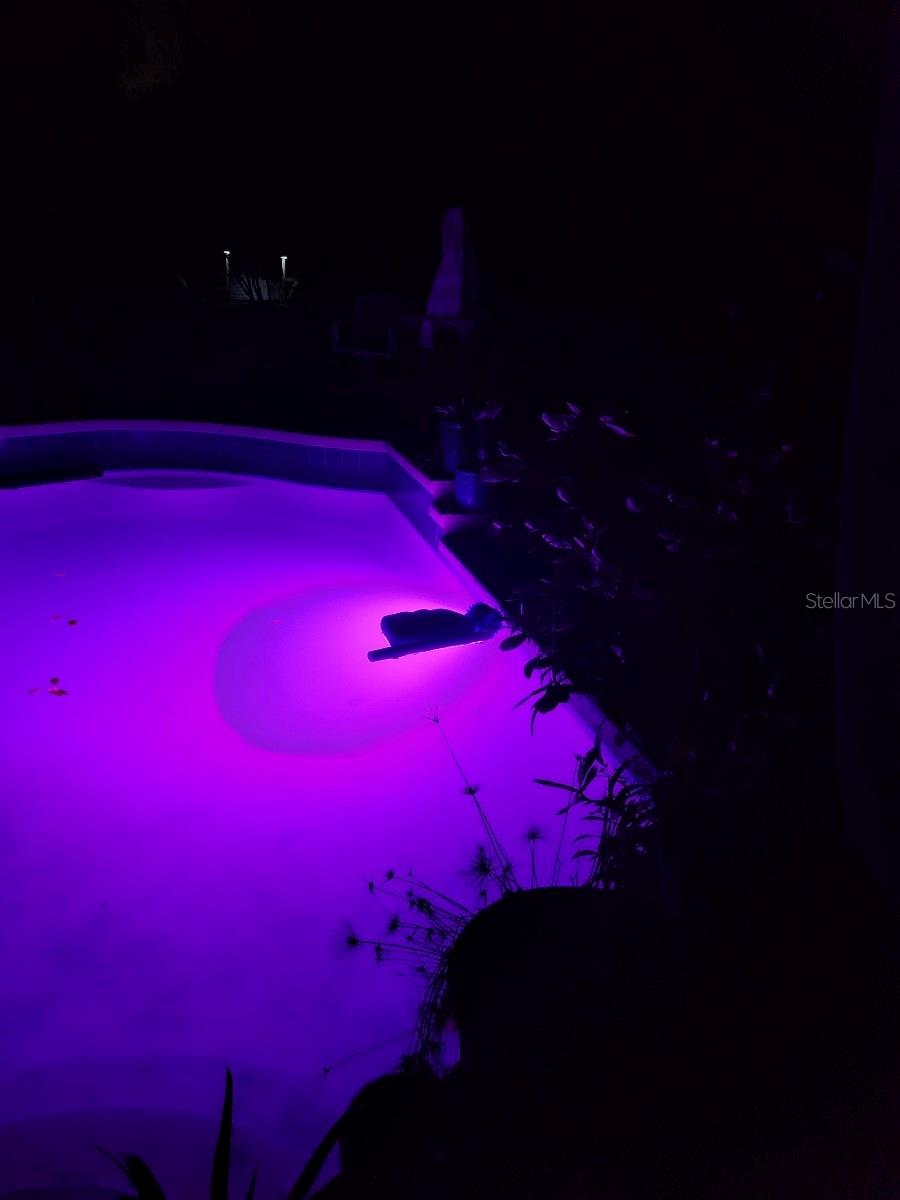 18695 NE 5TH TERRACE RD, CITRA, FL, 32113