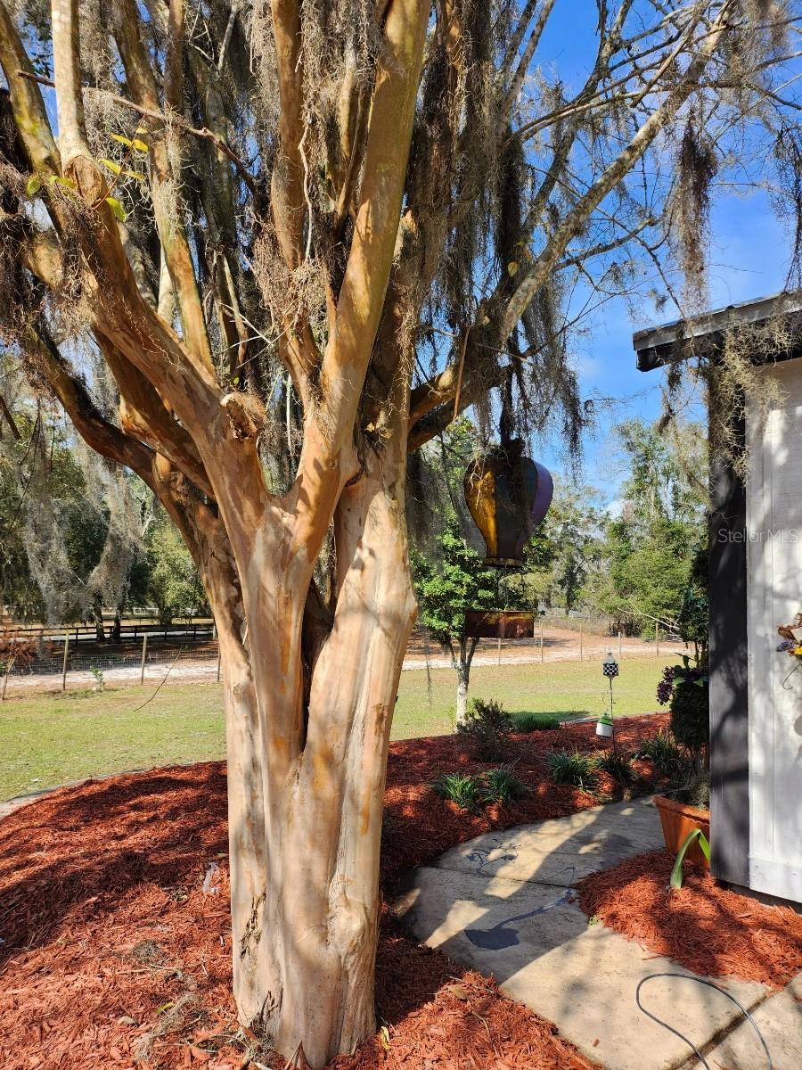 18695 NE 5TH TERRACE RD, CITRA, FL, 32113