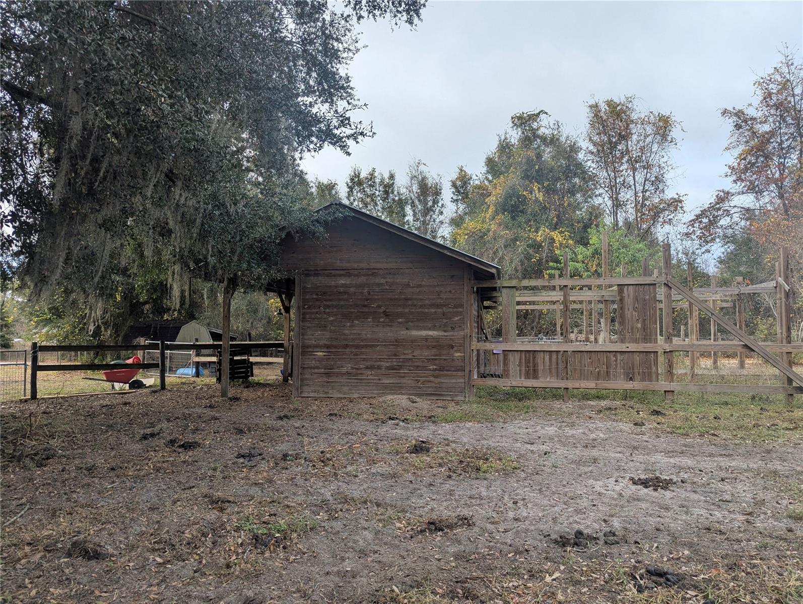 18695 NE 5TH TERRACE RD, CITRA, FL, 32113