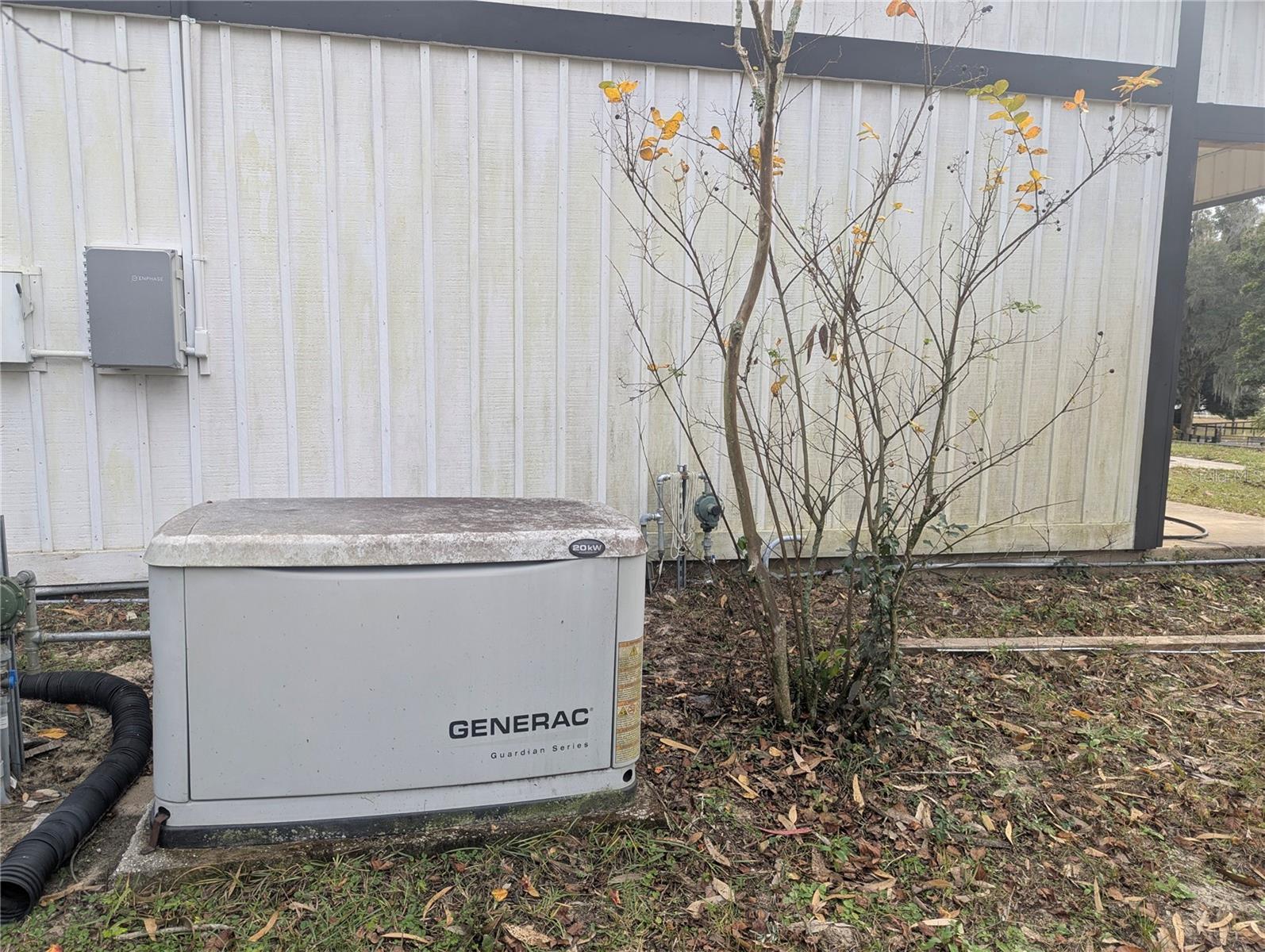 18695 NE 5TH TERRACE RD, CITRA, FL, 32113