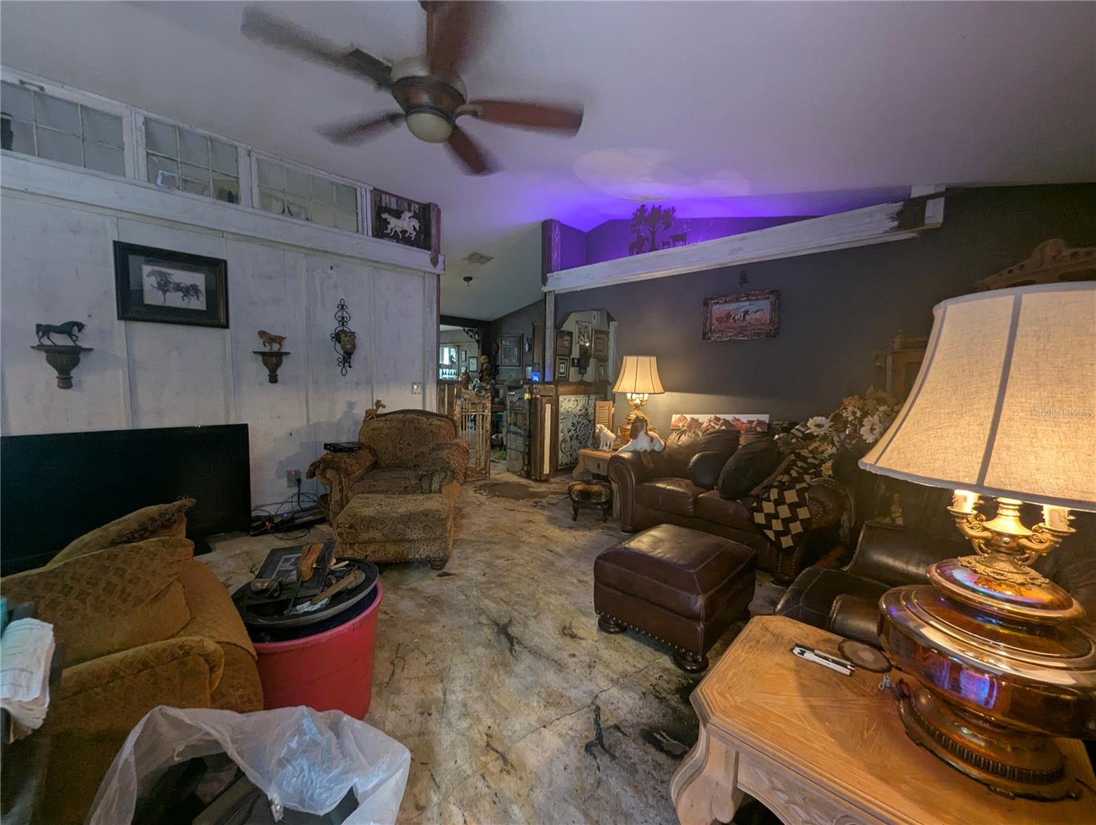 18695 NE 5TH TERRACE RD, CITRA, FL, 32113