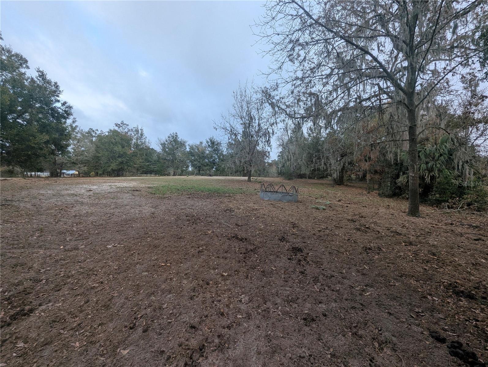 18695 NE 5TH TERRACE RD, CITRA, FL, 32113