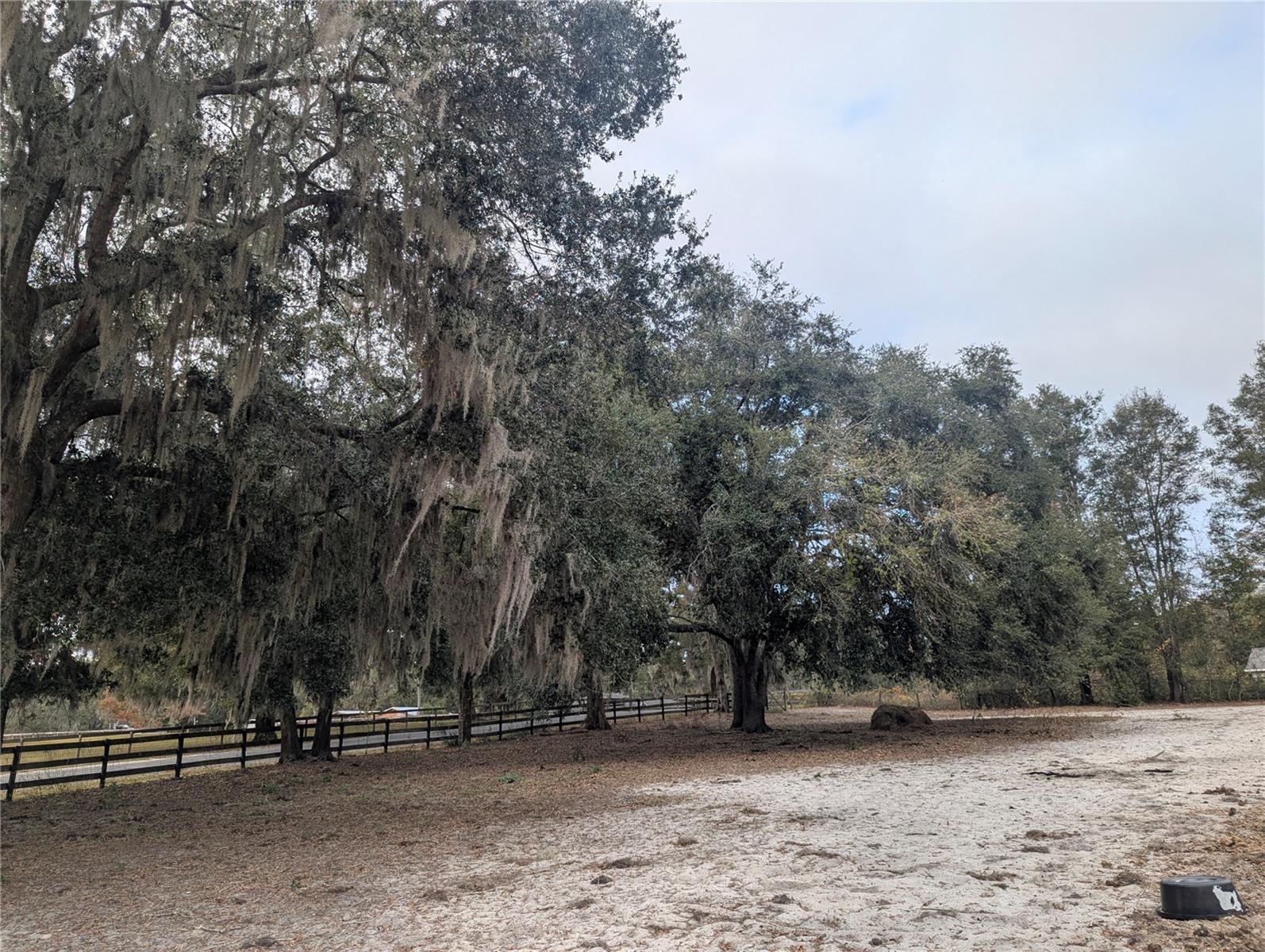 18695 NE 5TH TERRACE RD, CITRA, FL, 32113