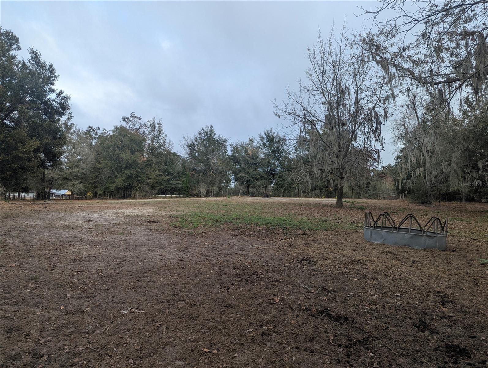 18695 NE 5TH TERRACE RD, CITRA, FL, 32113