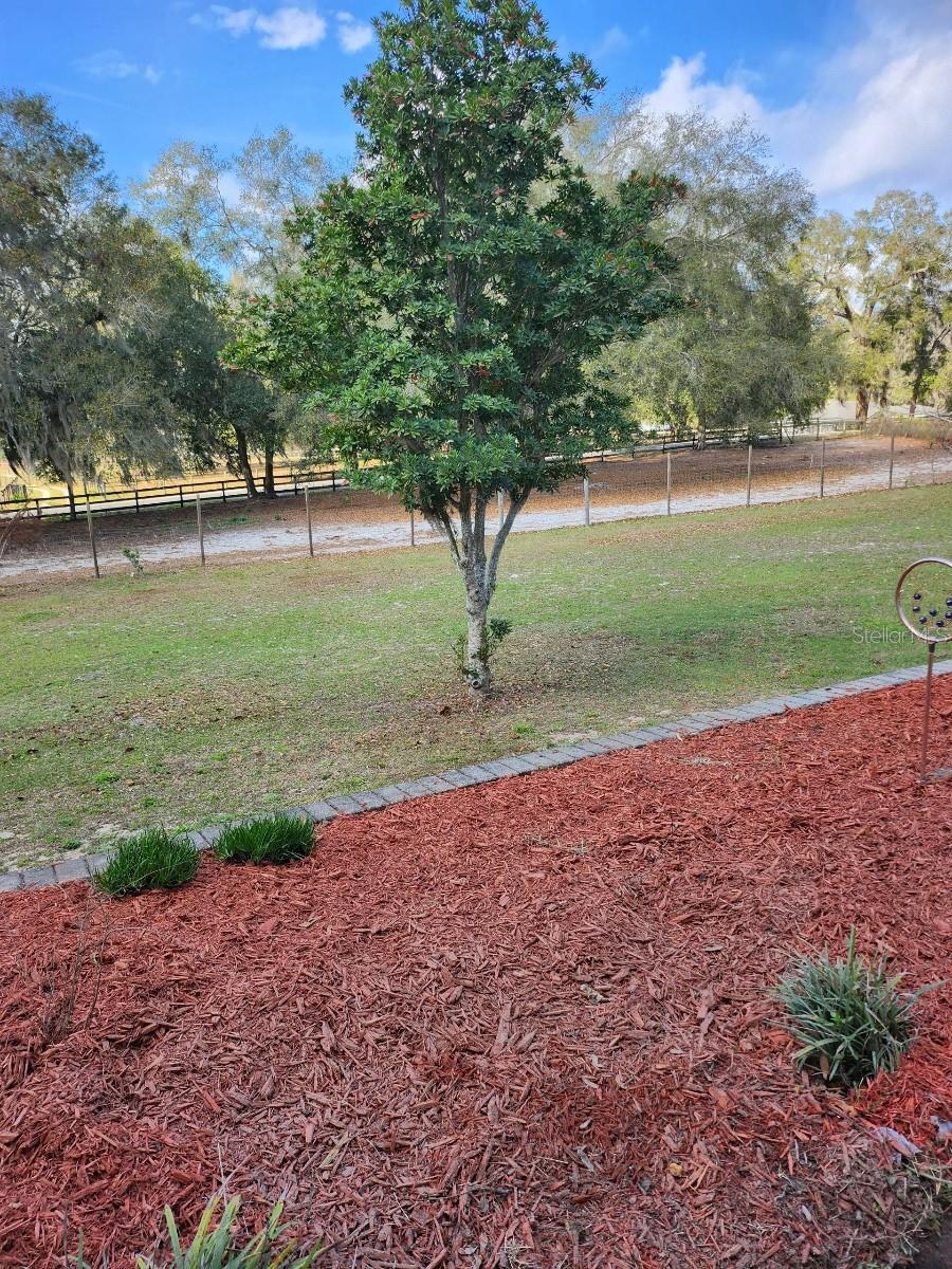 18695 NE 5TH TERRACE RD, CITRA, FL, 32113