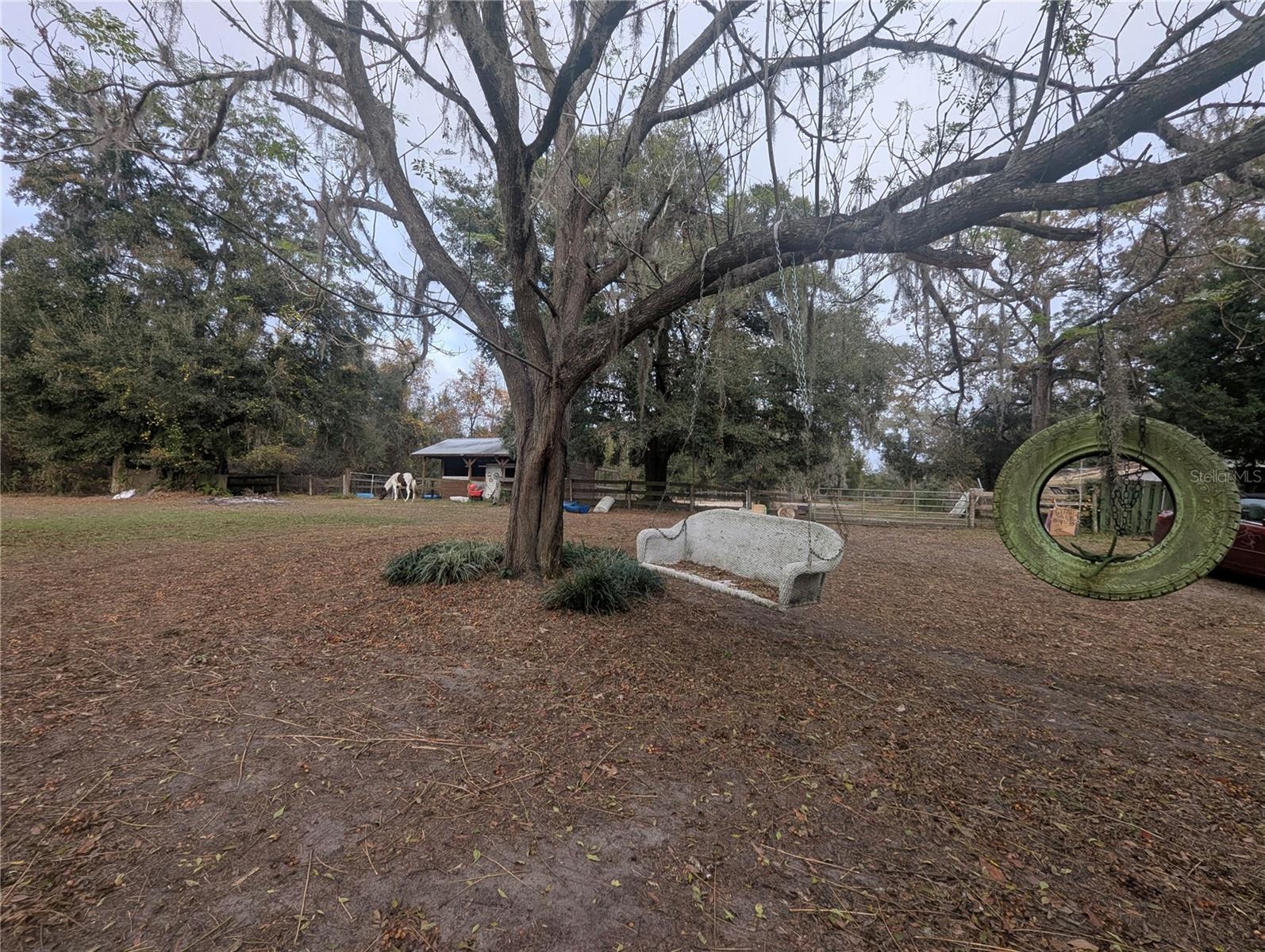 18695 NE 5TH TERRACE RD, CITRA, FL, 32113