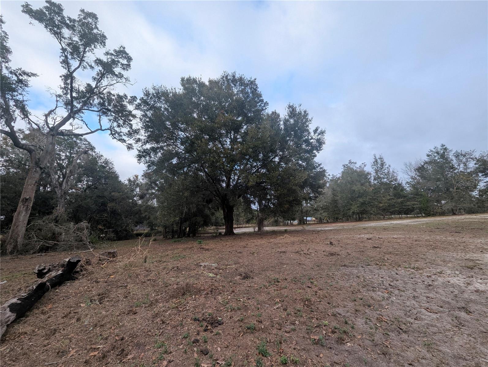 18695 NE 5TH TERRACE RD, CITRA, FL, 32113