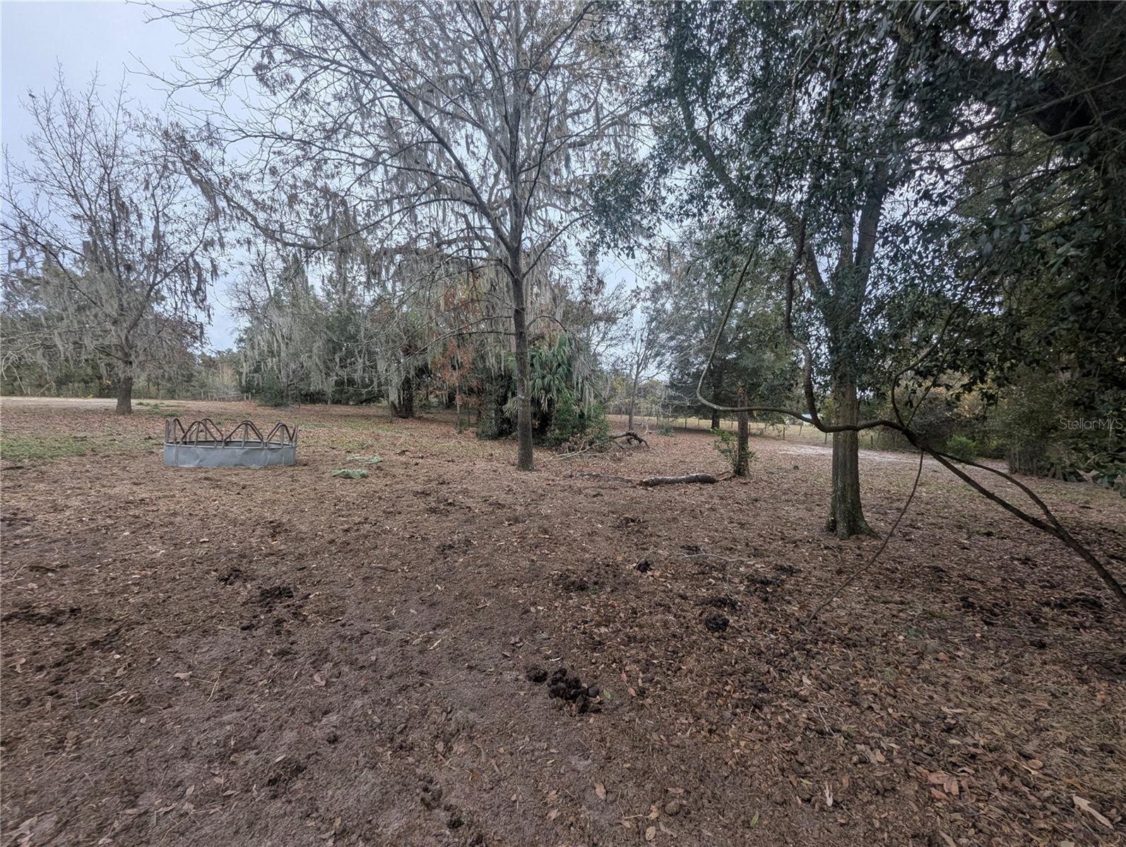 18695 NE 5TH TERRACE RD, CITRA, FL, 32113